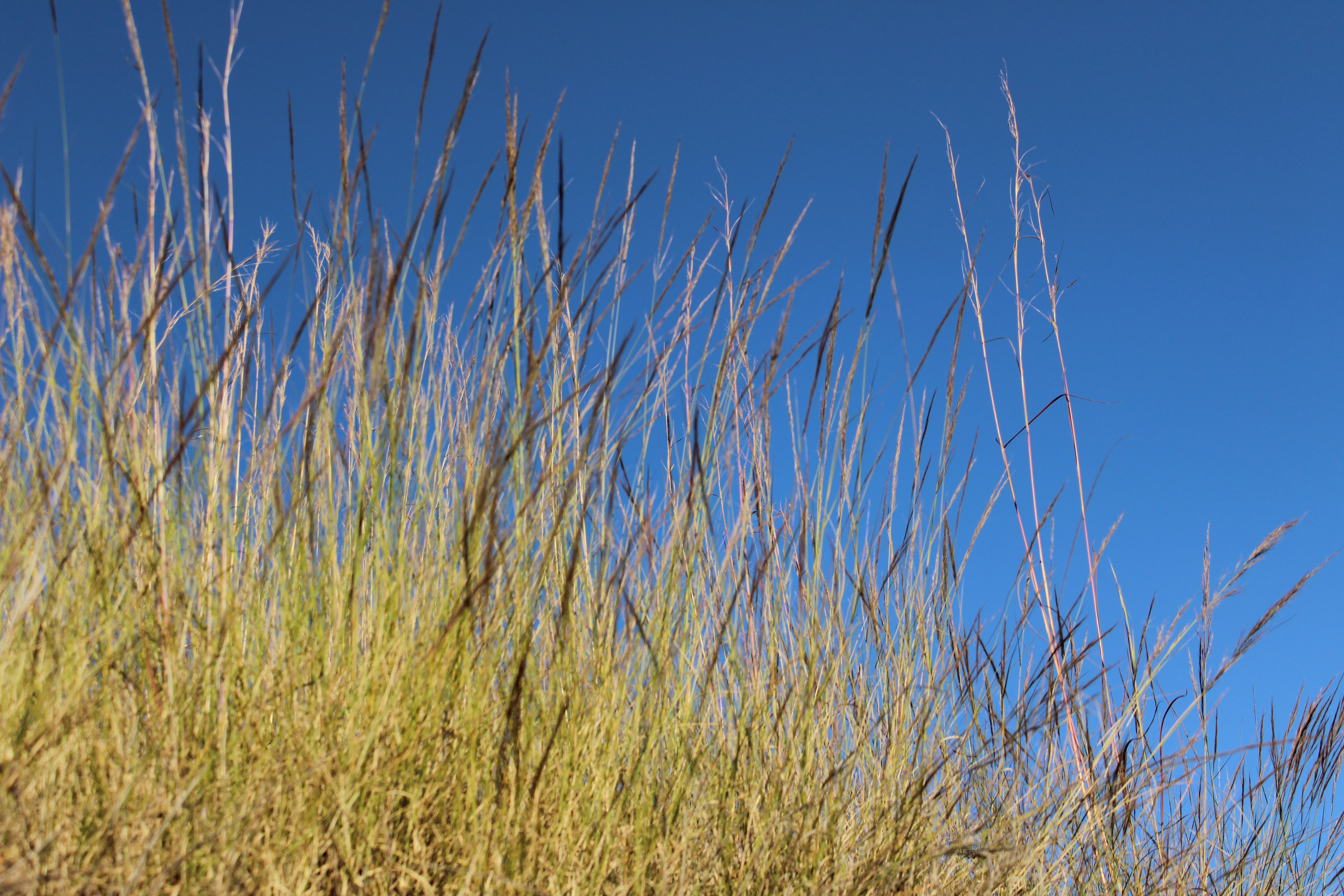 Photo by wheeledflow