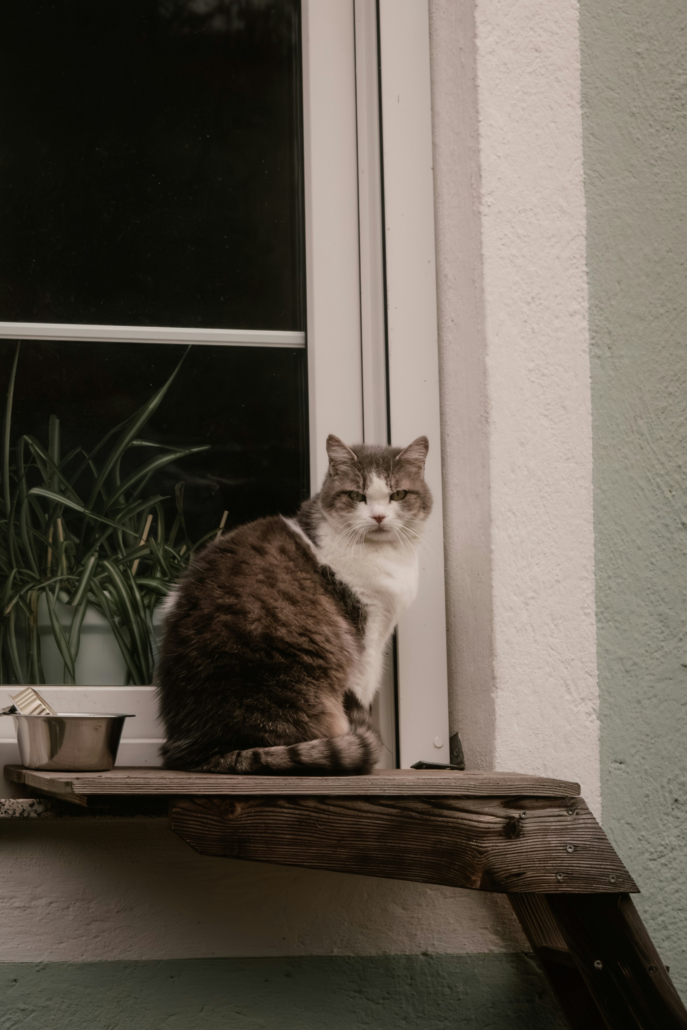 The Guardian’s Watch (image credits: unsplash)