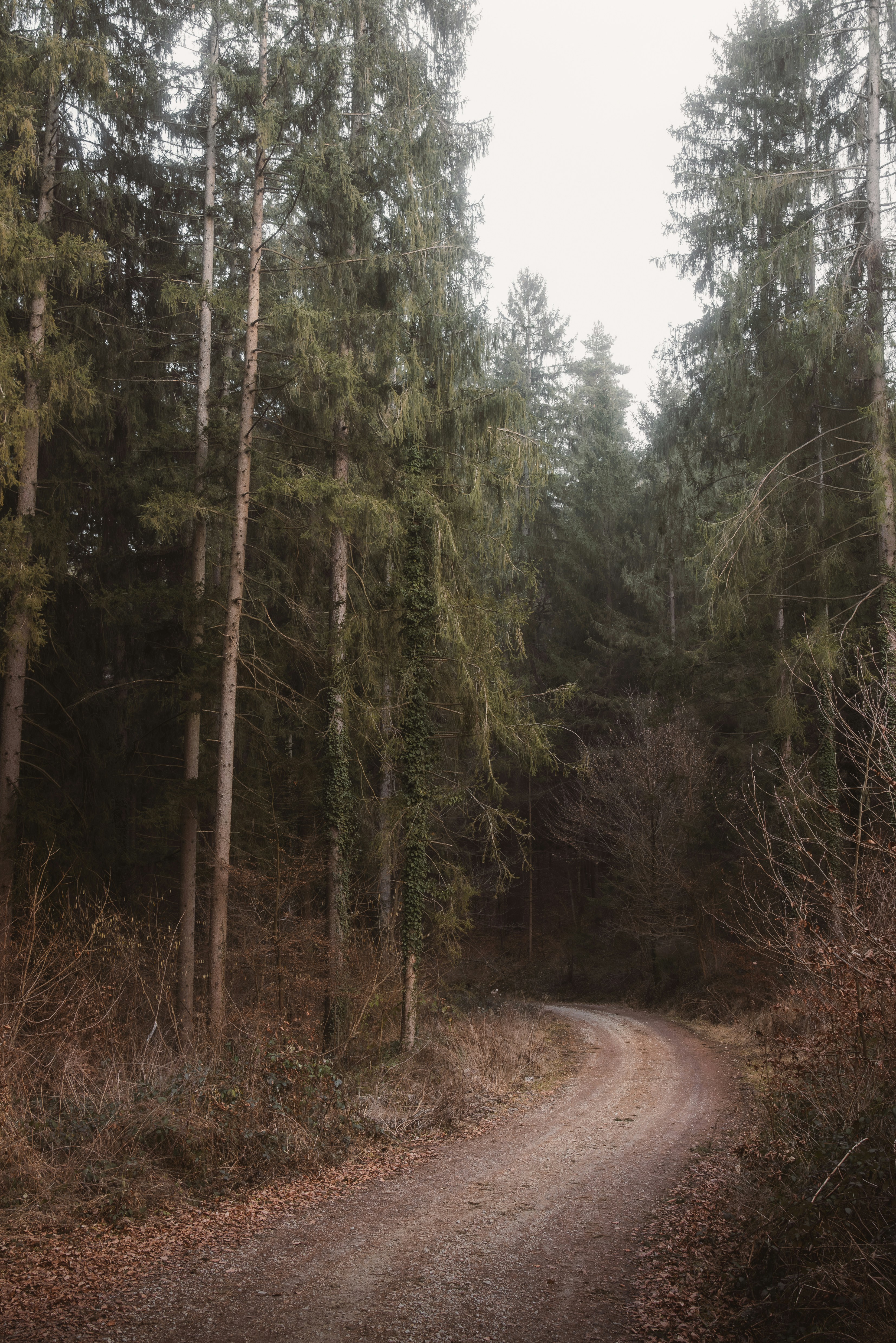 Photo by ahmetyuksek