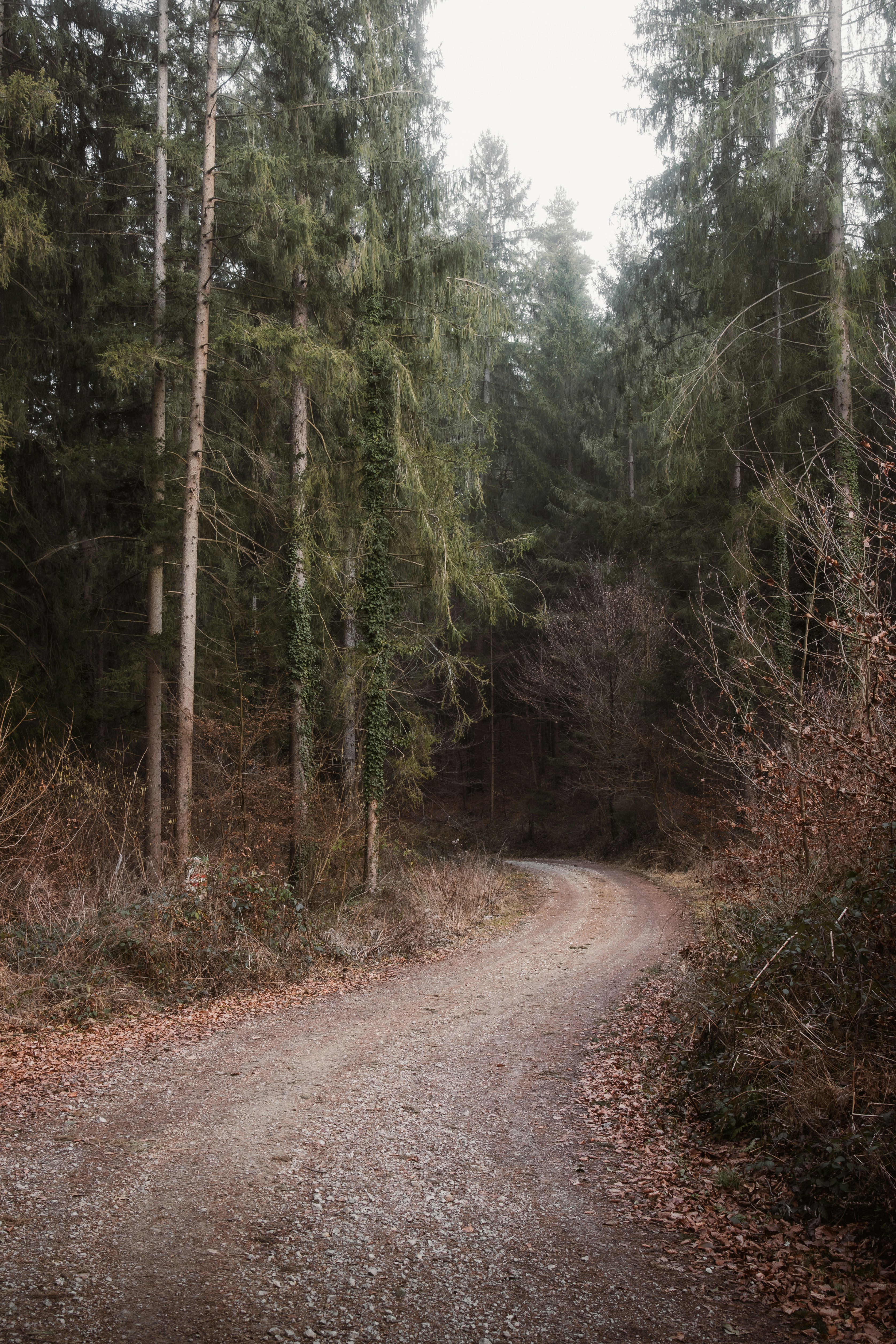 Photo by ahmetyuksek