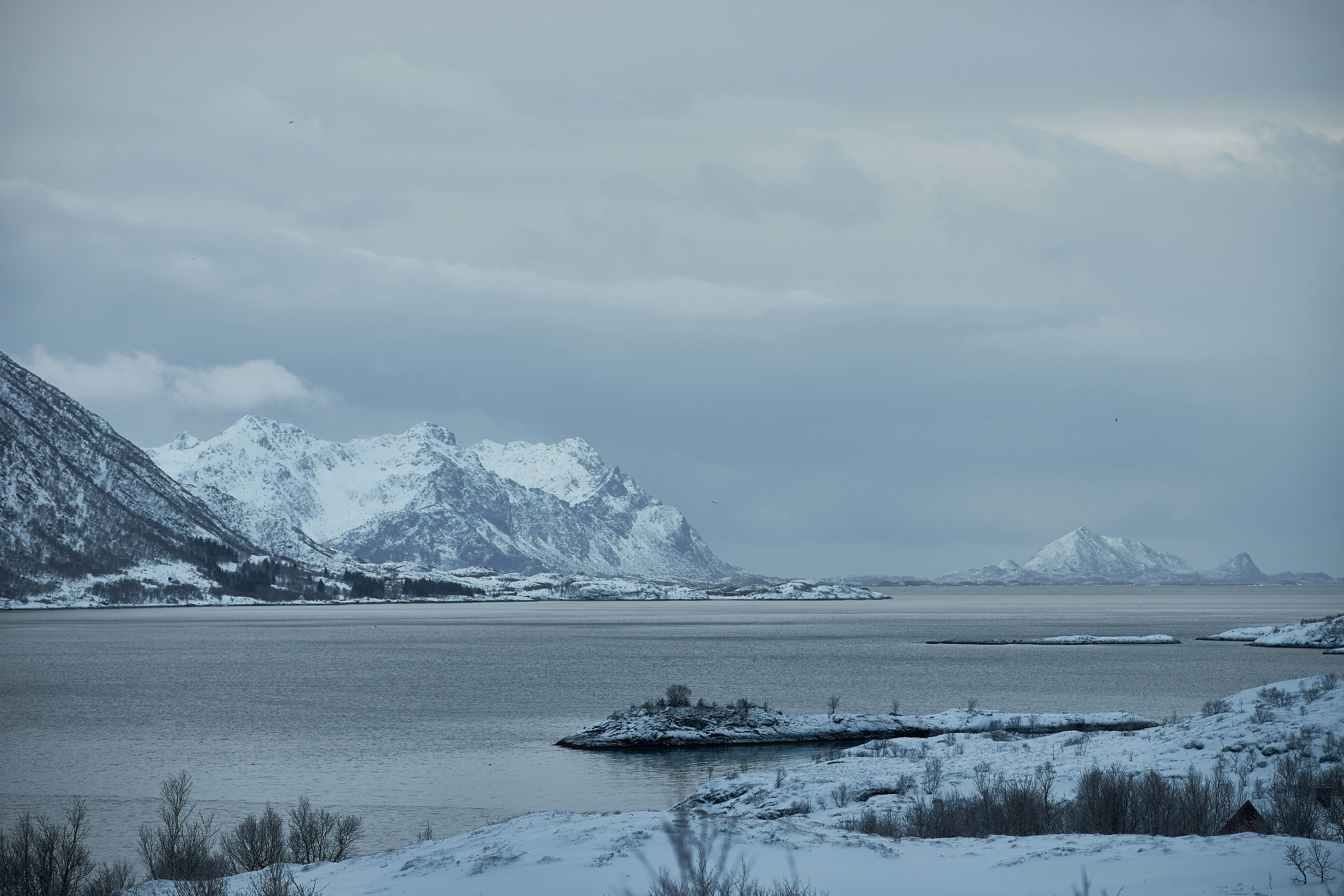 Photo by wolfgang_hasselmann