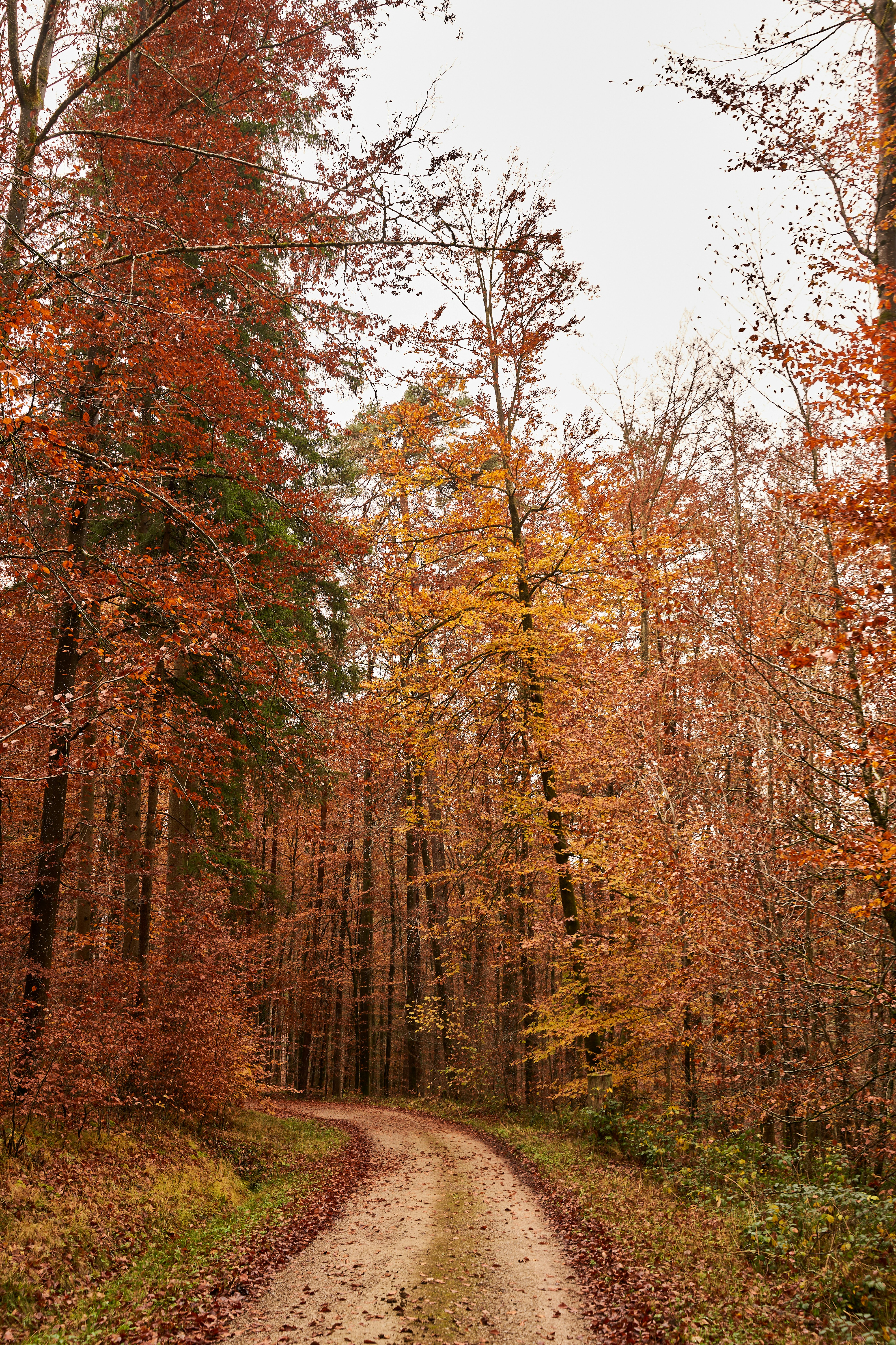 Photo by wolfgang_hasselmann