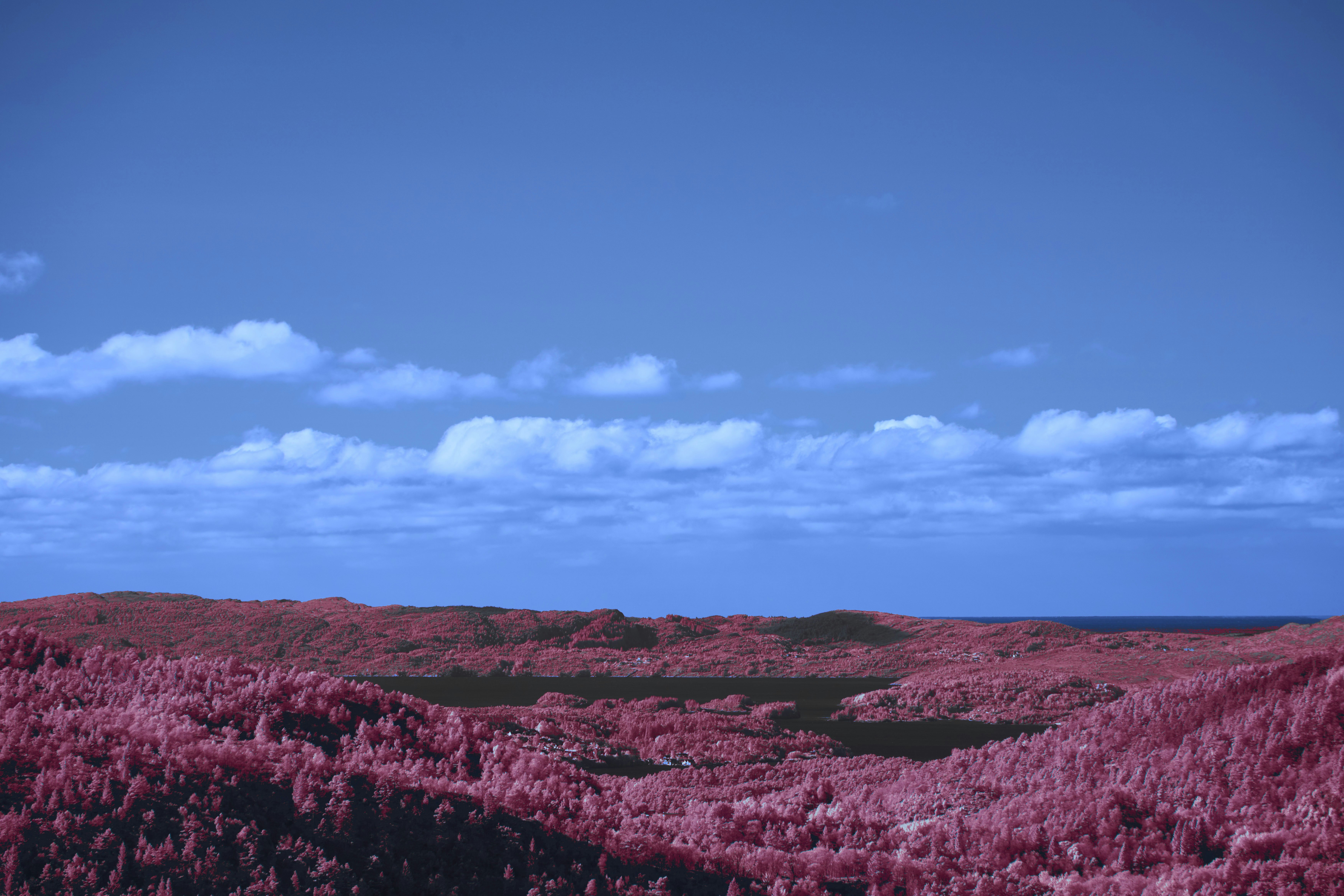 Photo by wolfgang_hasselmann