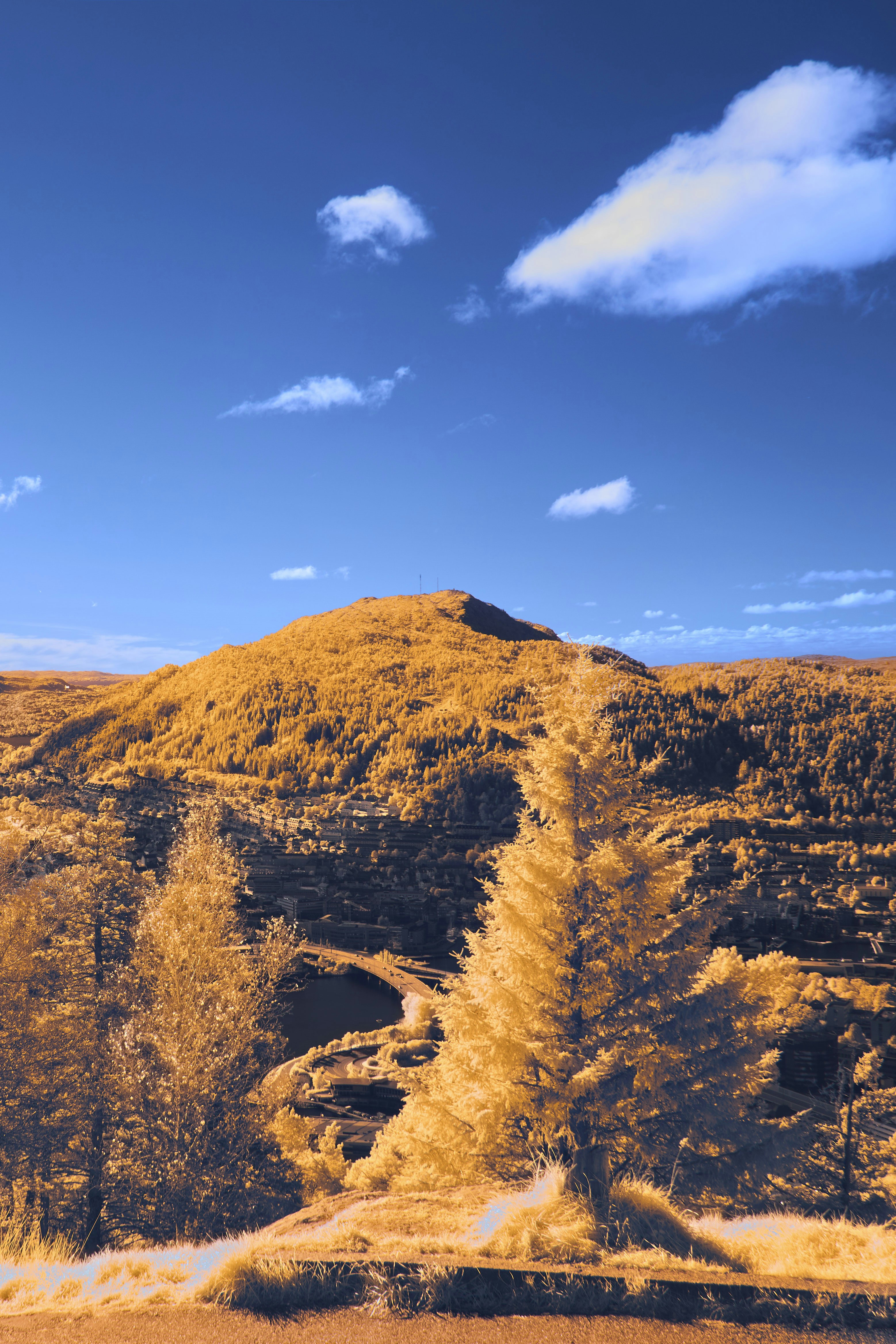 Photo by wolfgang_hasselmann