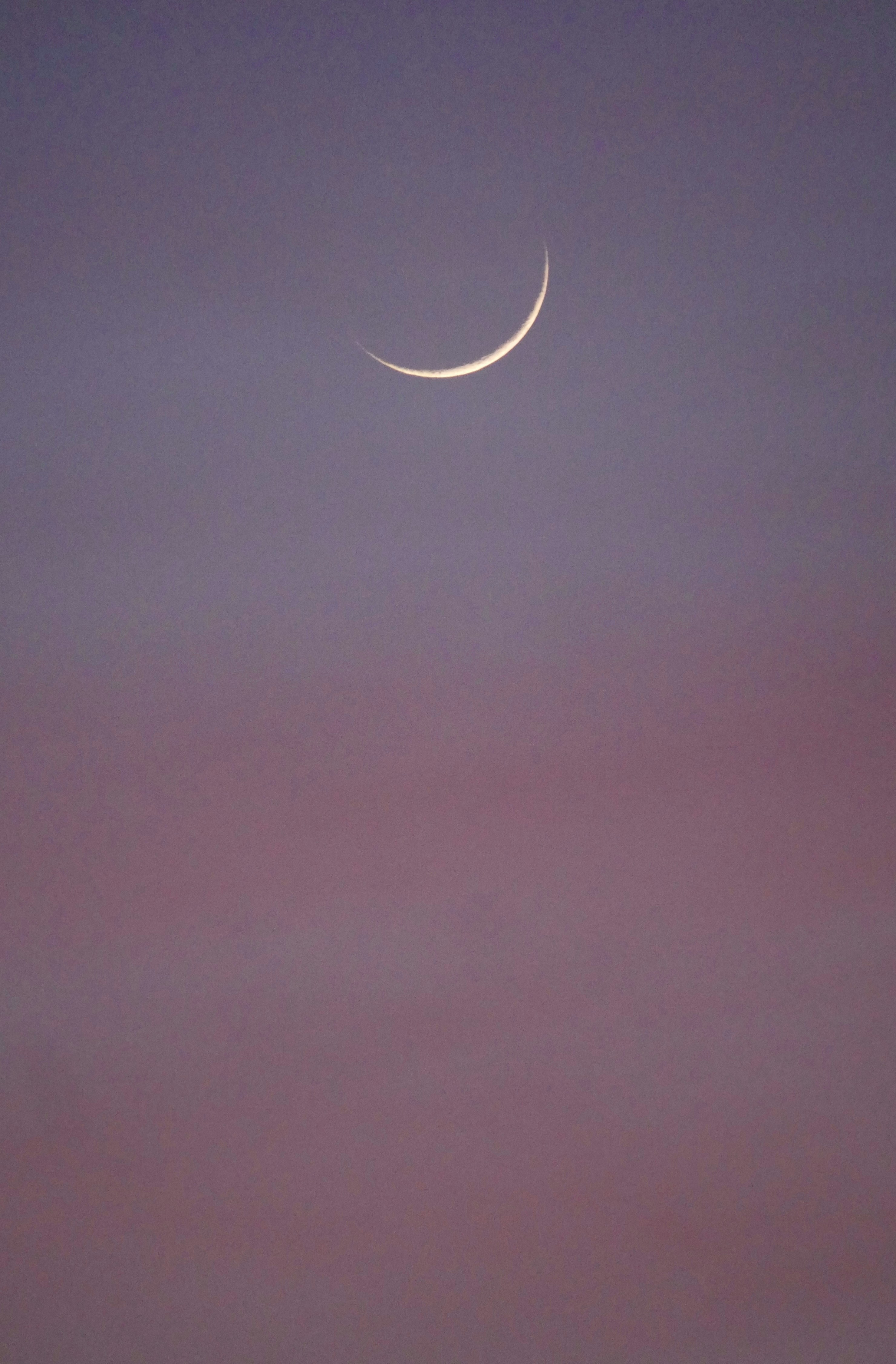 Photo by mattseymour