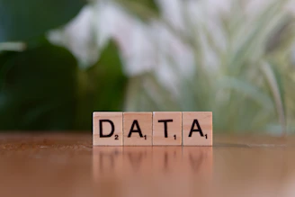 A wooden block spelling data on a table