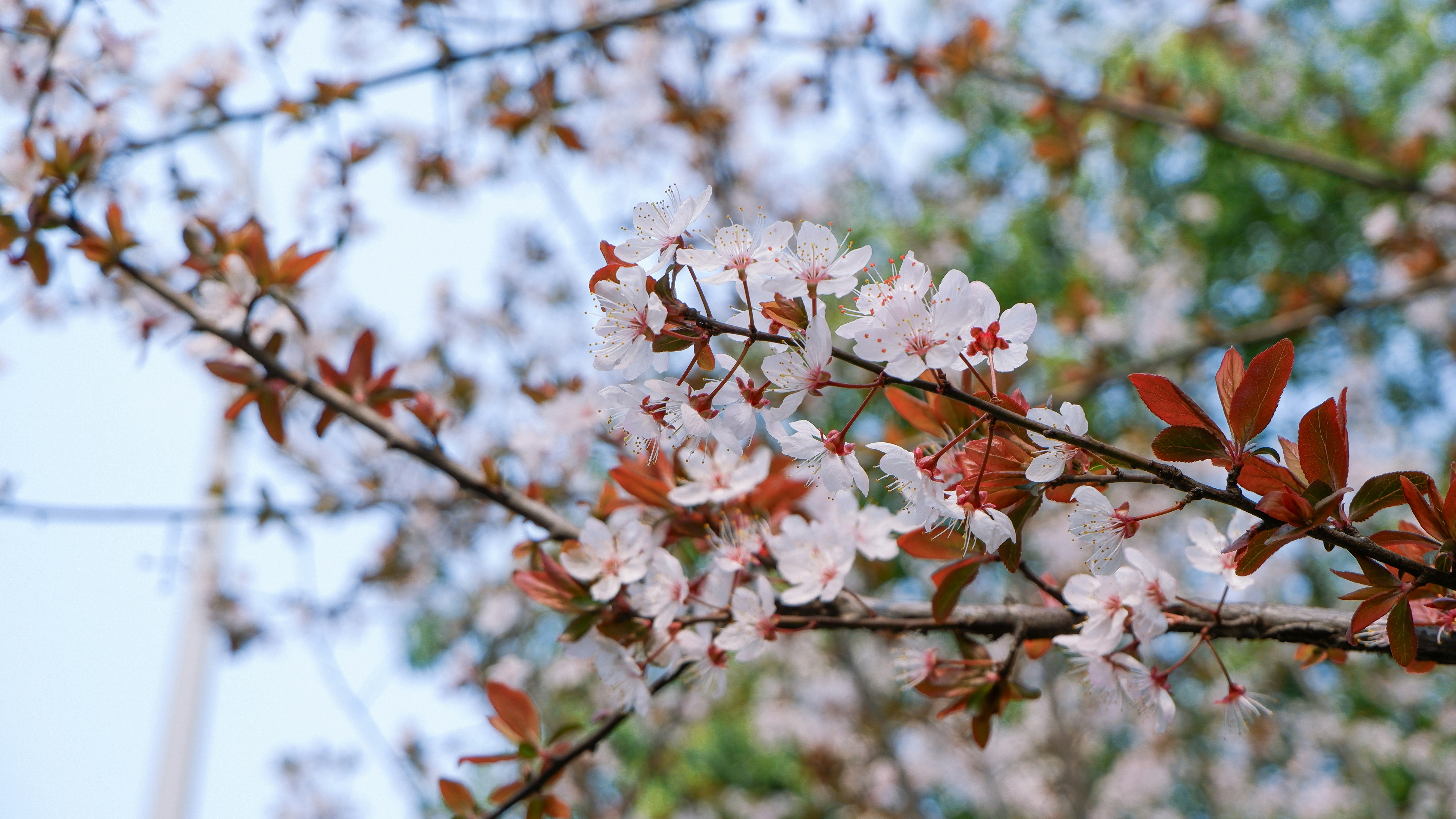 Photo by lingbo_huang