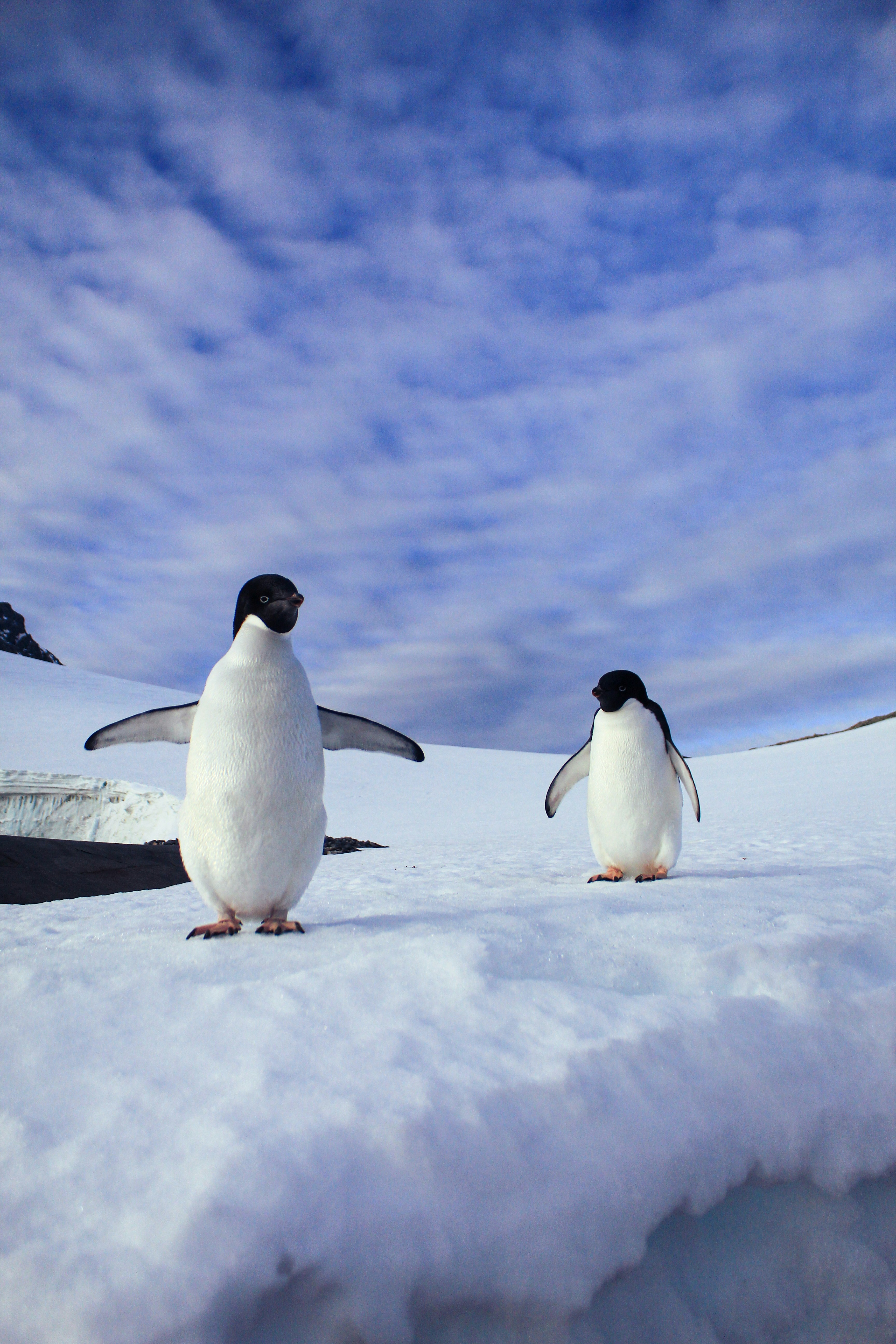 Photo by eluronmaton