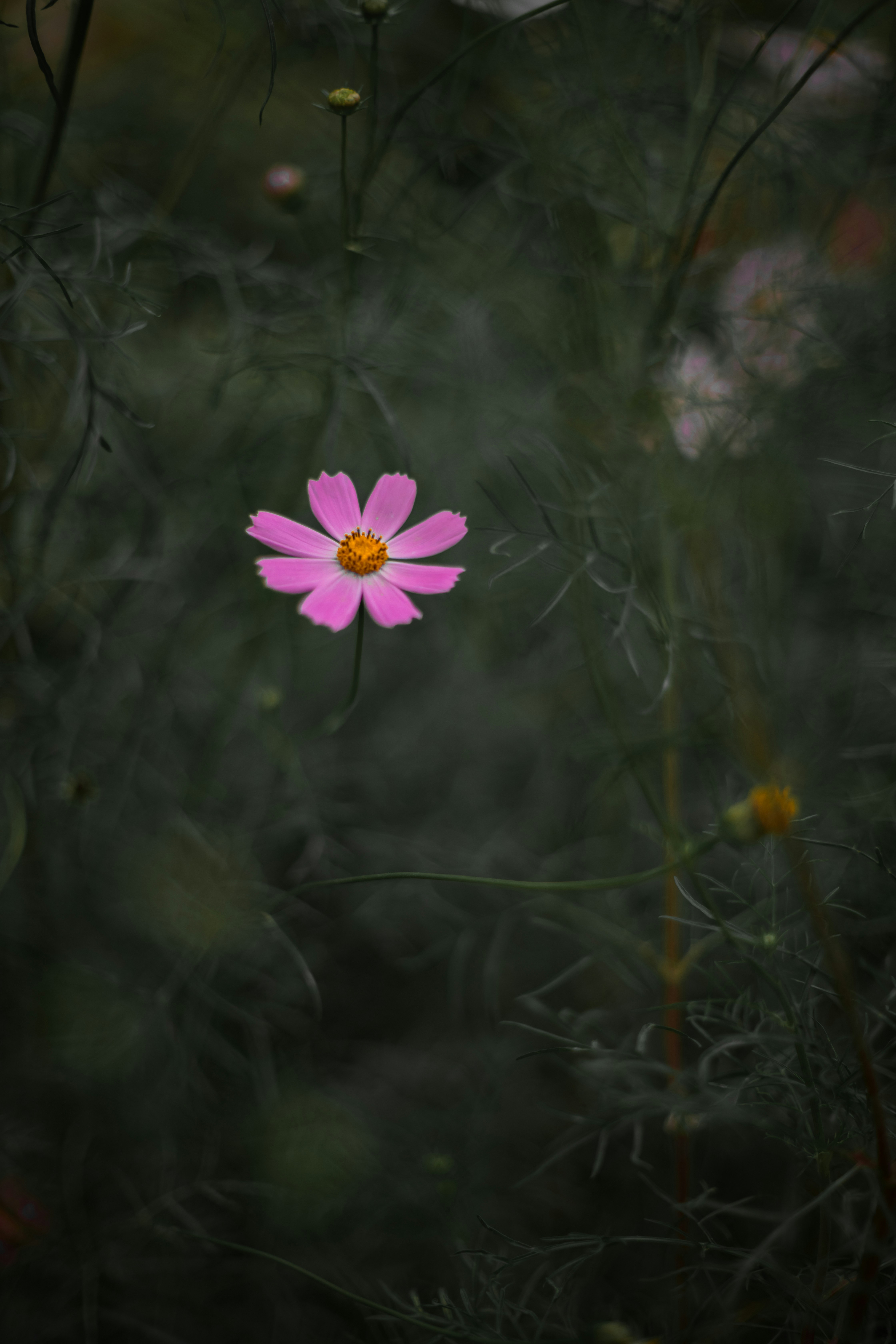 Photo by artem_kniaz