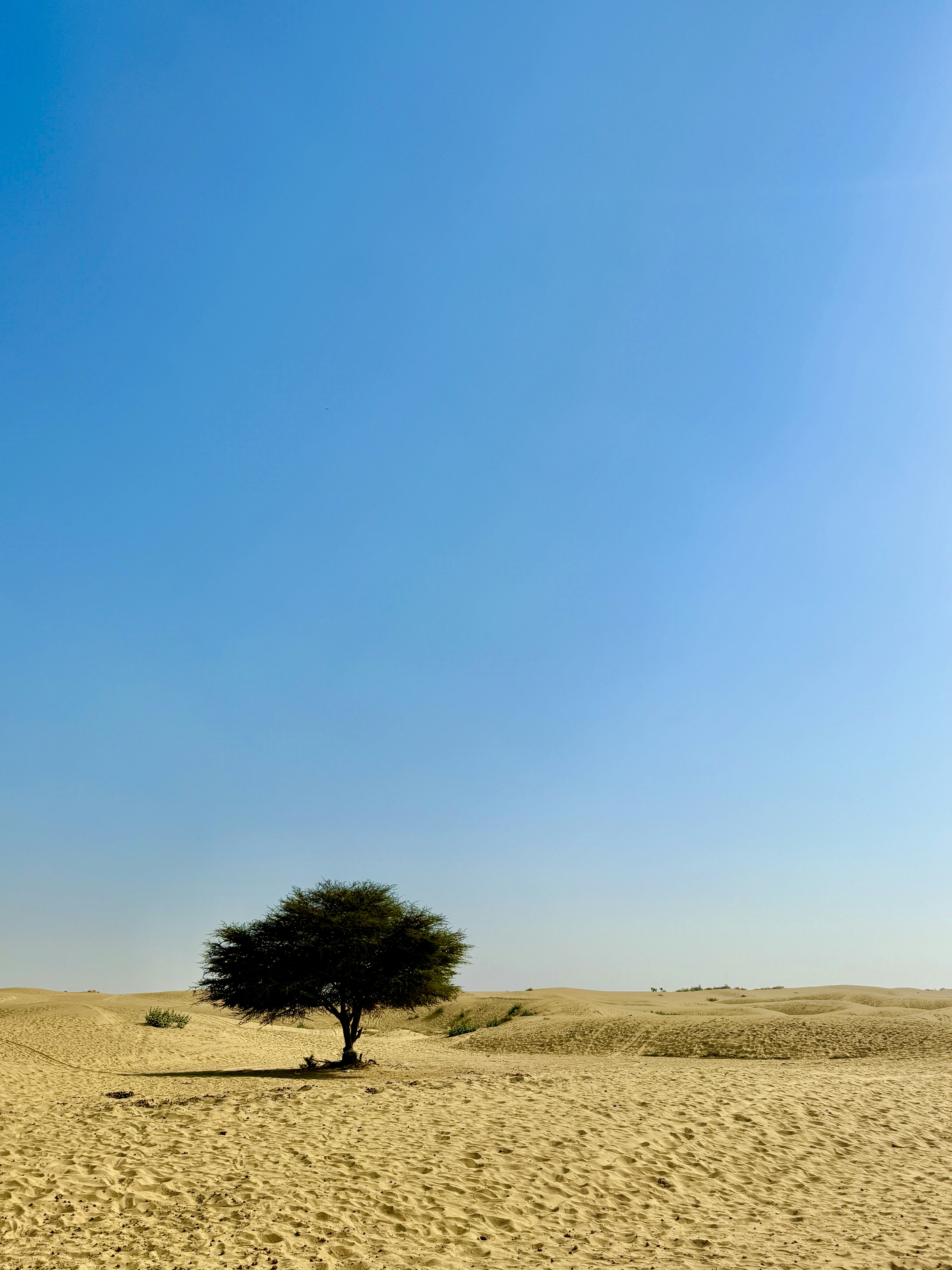 샘 꿈 해몽 새로운 시작 에너지 상징