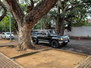 A truck parked on the side of a road next to a tree