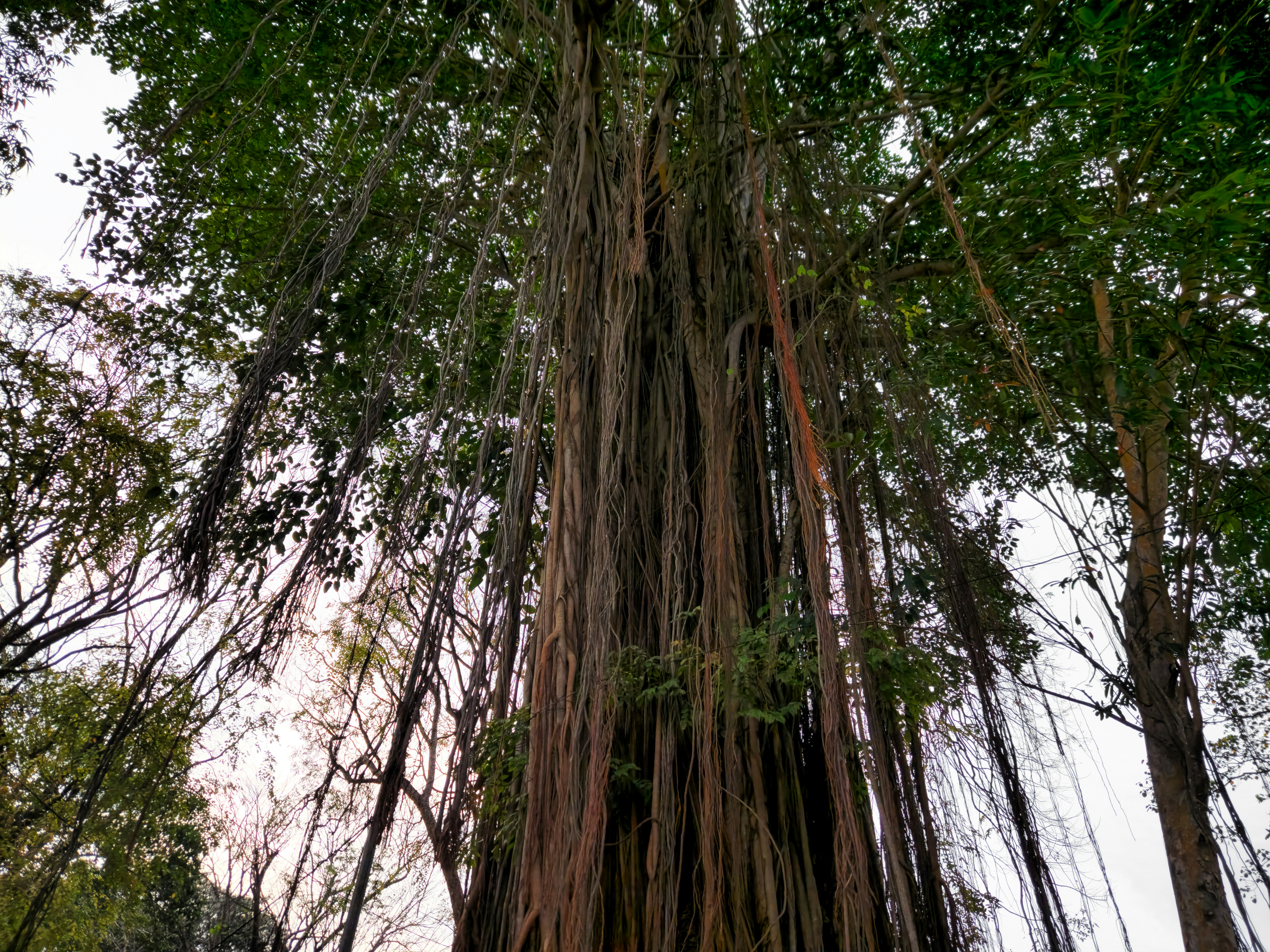 Photo by zoshuacolah