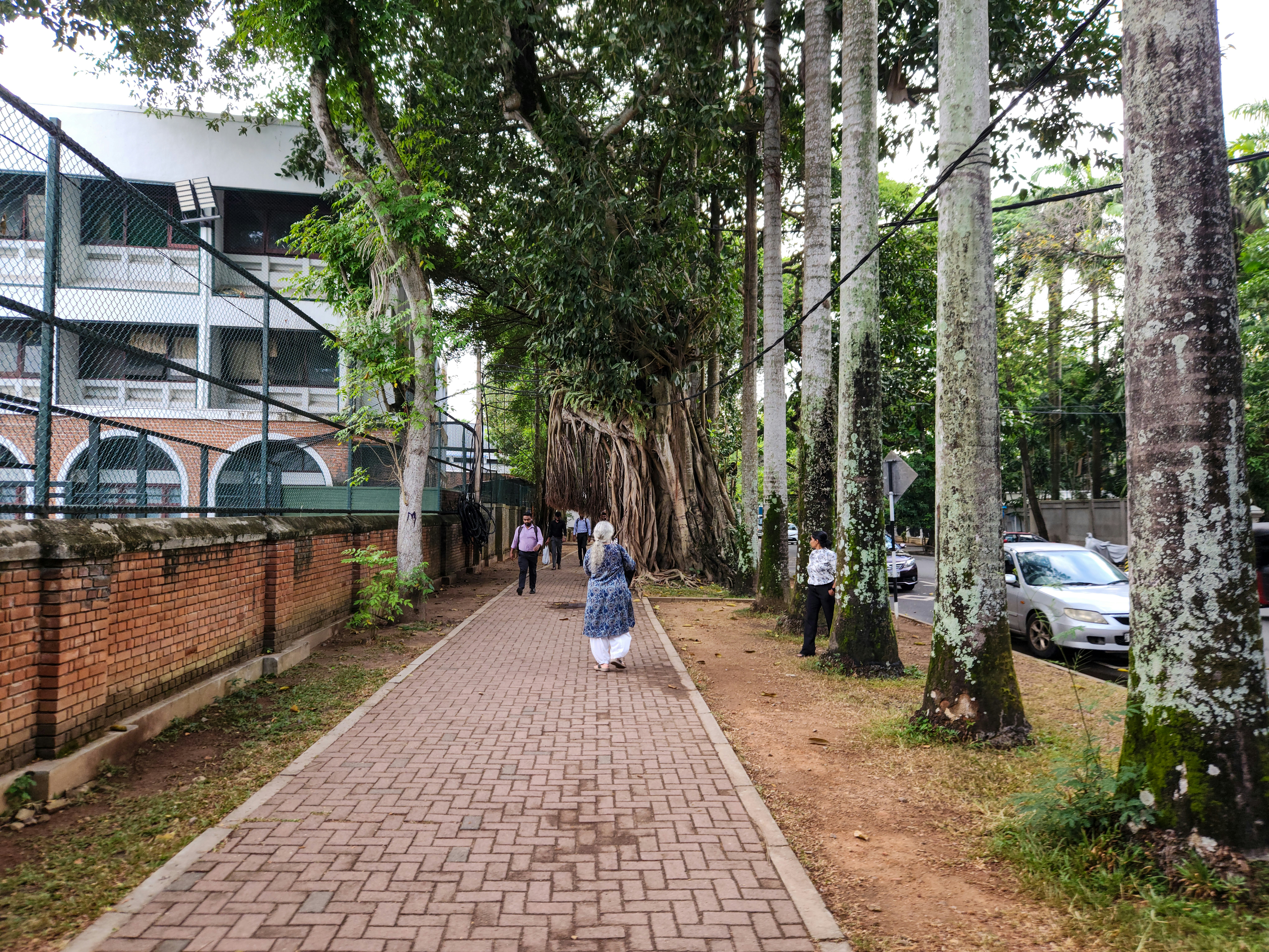 Photo by zoshuacolah