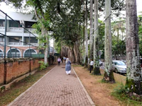 Best Areas in Vijayapura to Explore Entirely on Foot