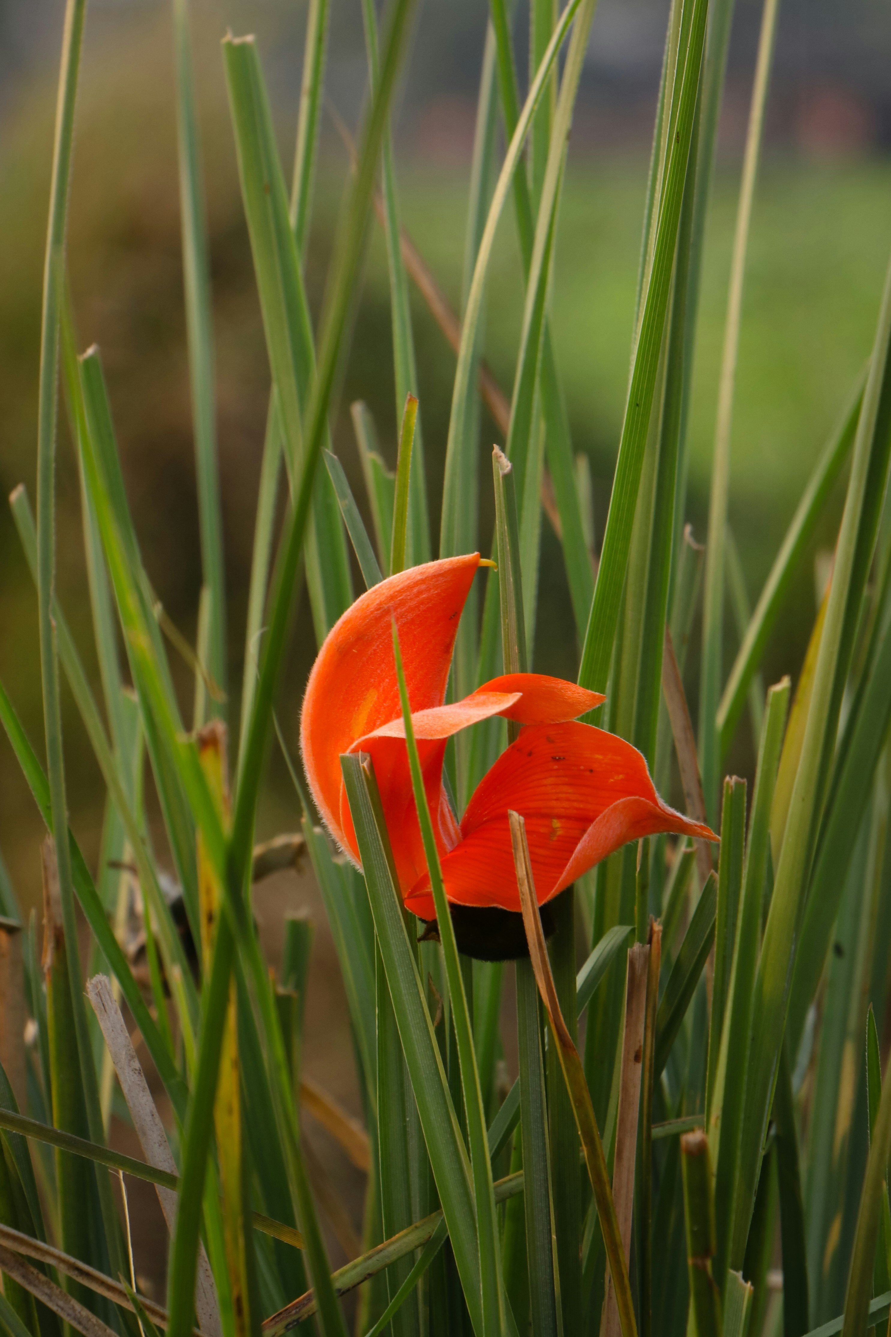 Photo by adventurelife24