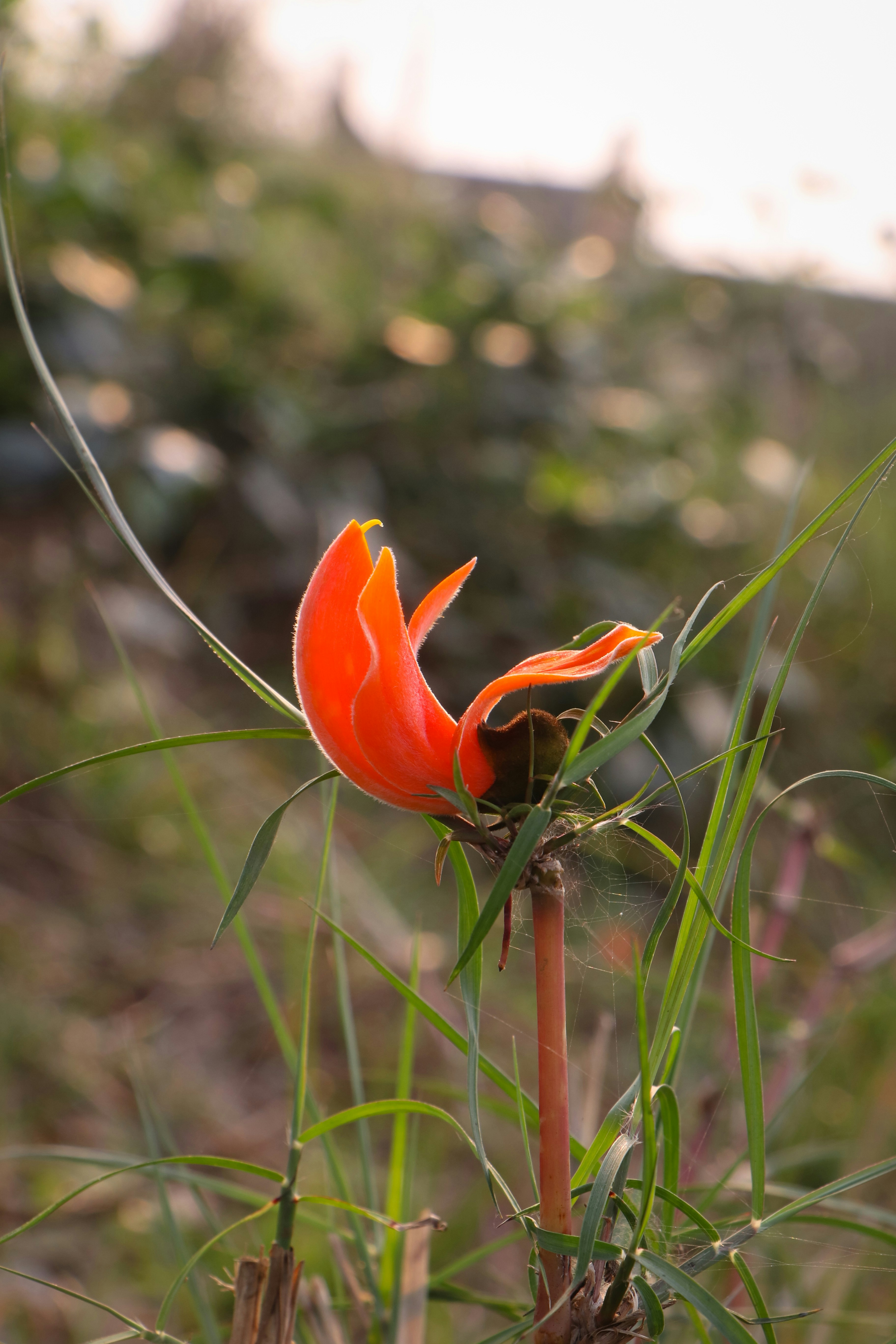 Photo by adventurelife24