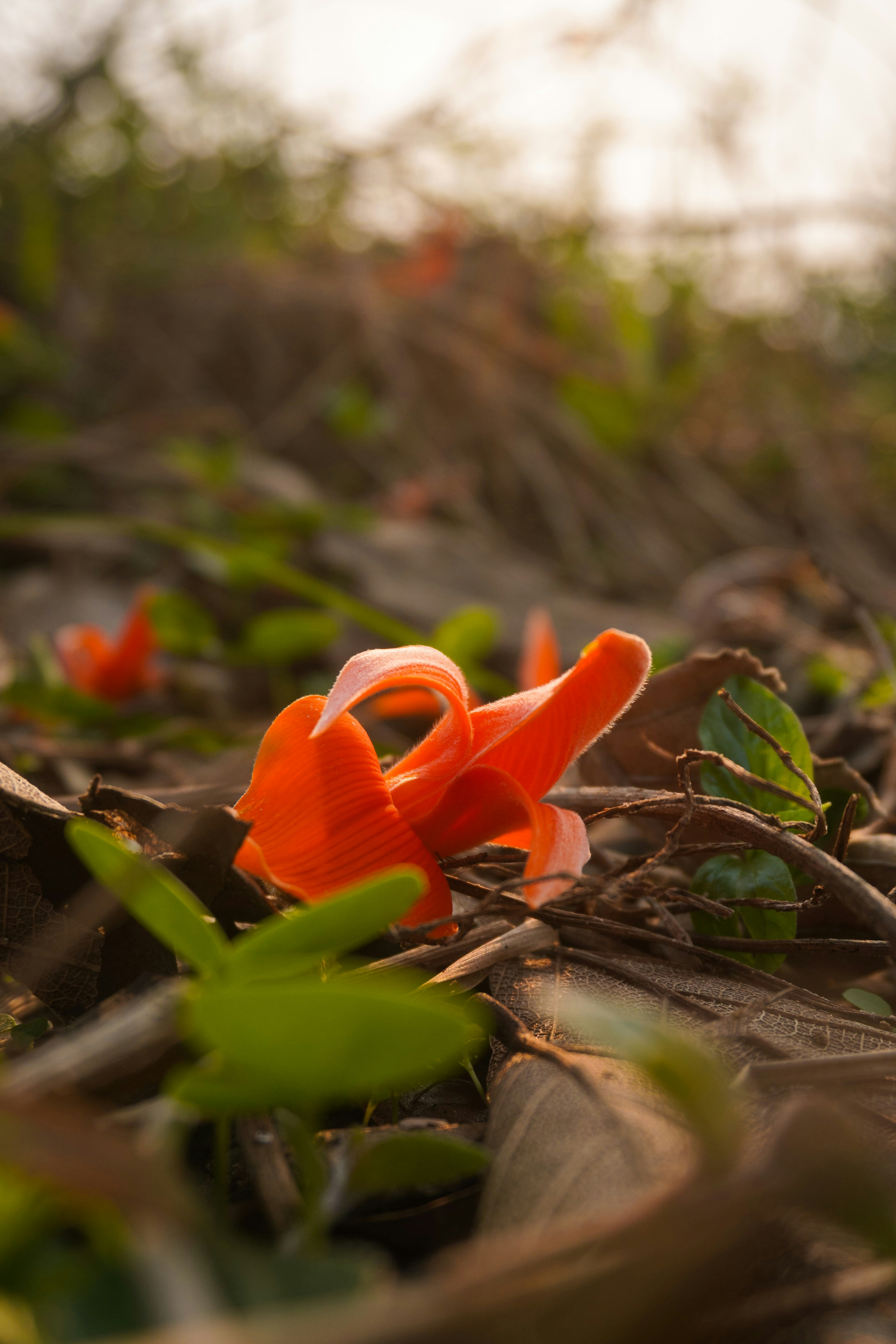 Photo by adventurelife24