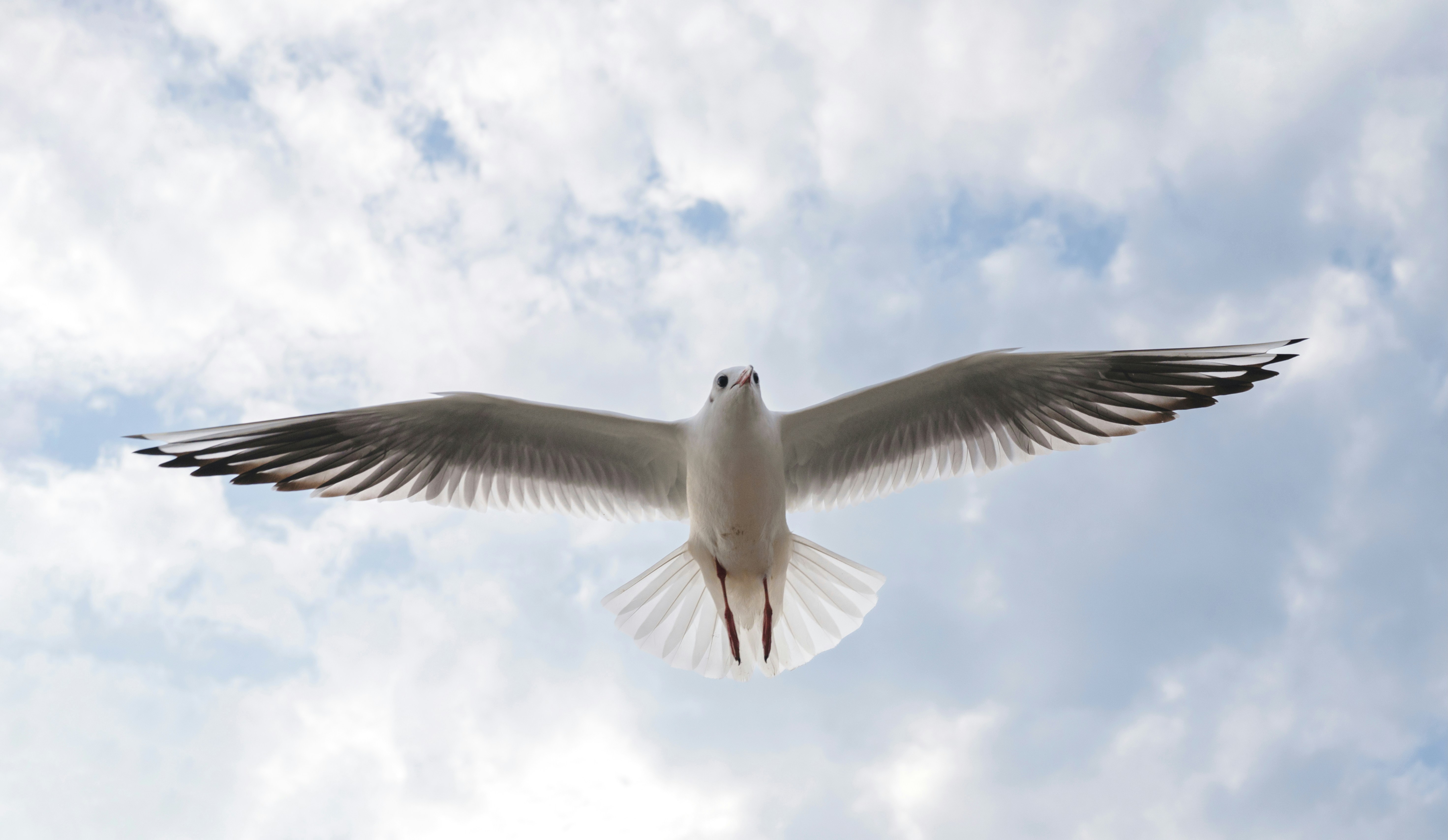 Photo by jasonmomentrecorder