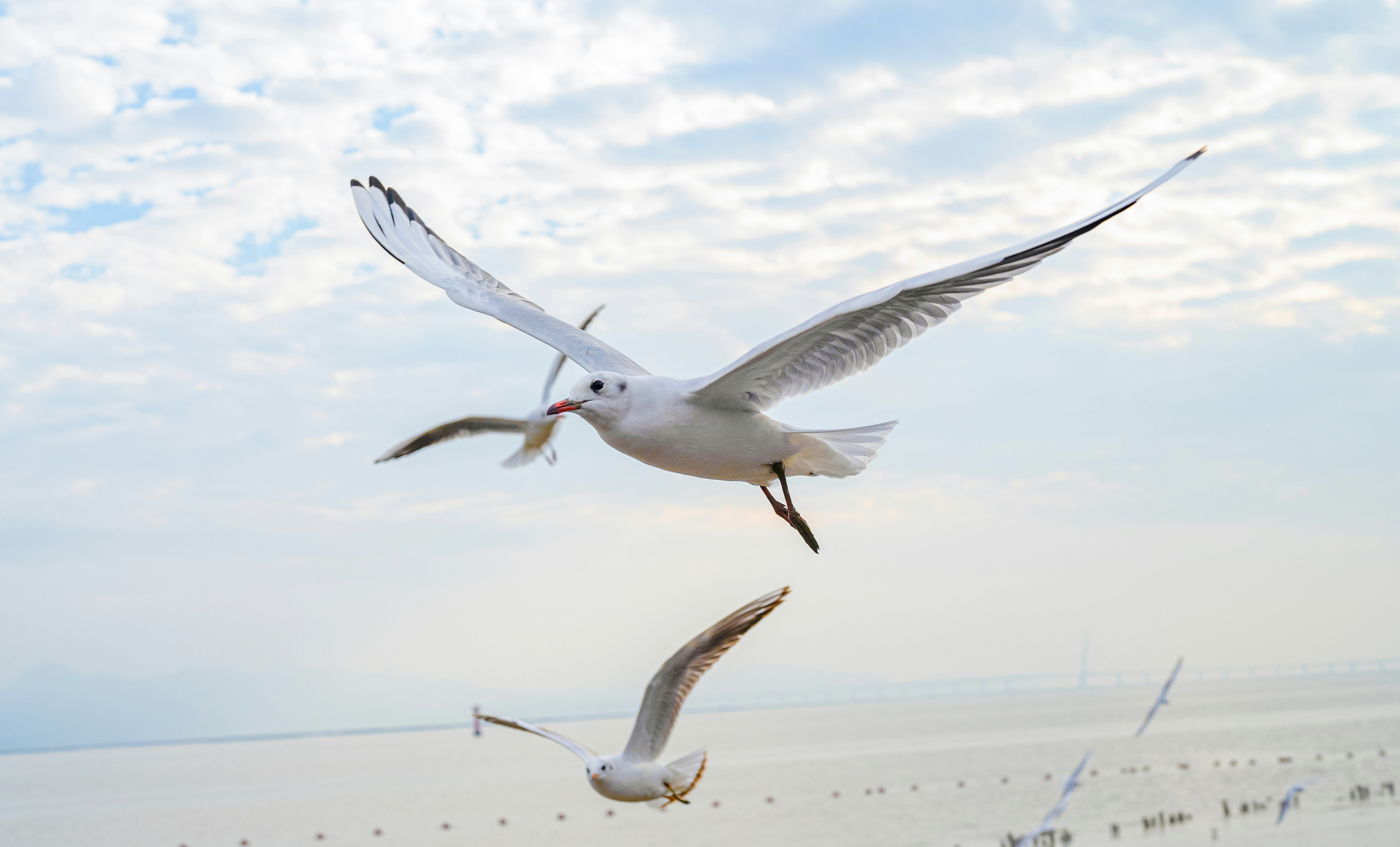 Photo by jasonmomentrecorder