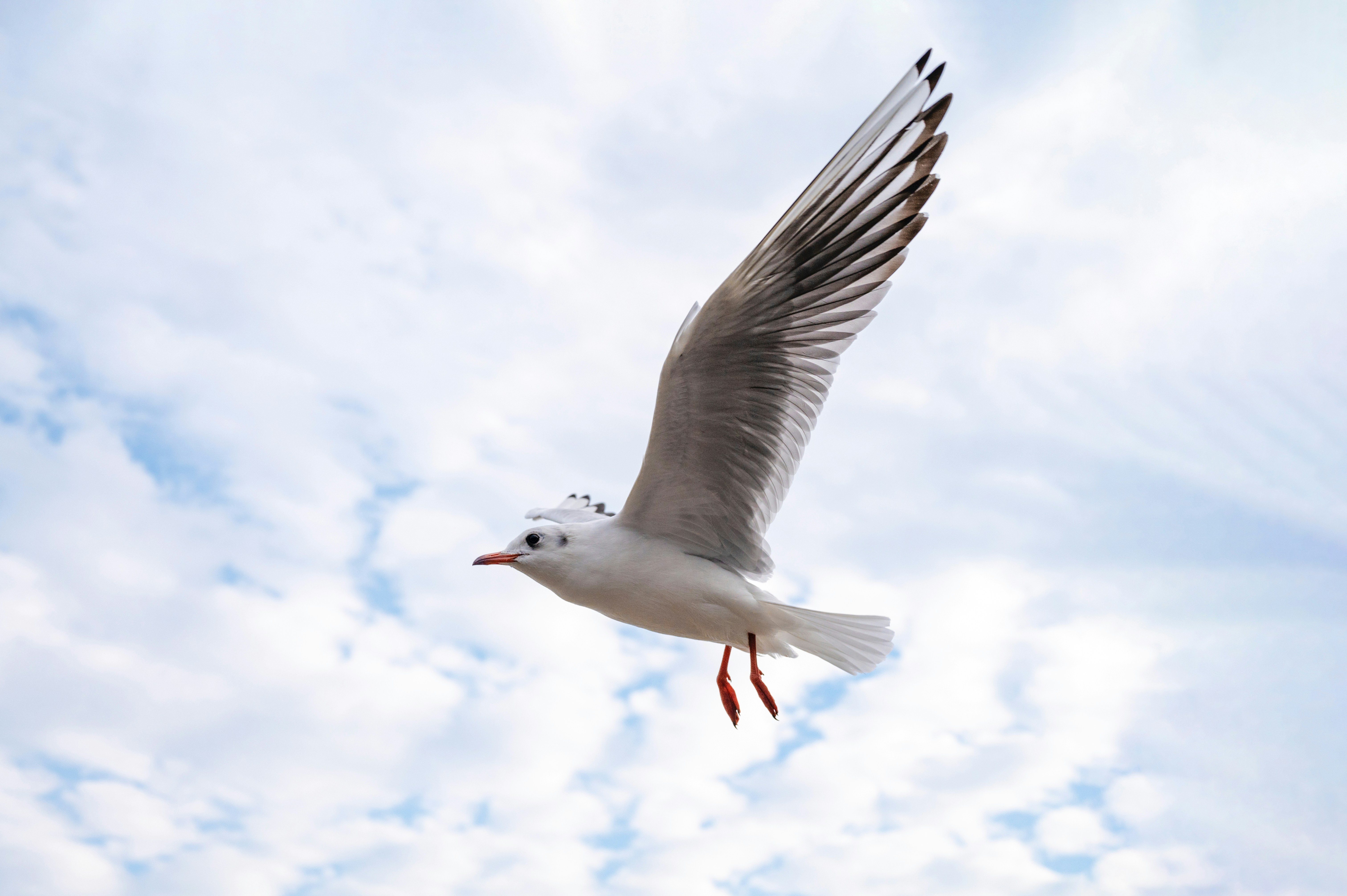 Photo by jasonmomentrecorder