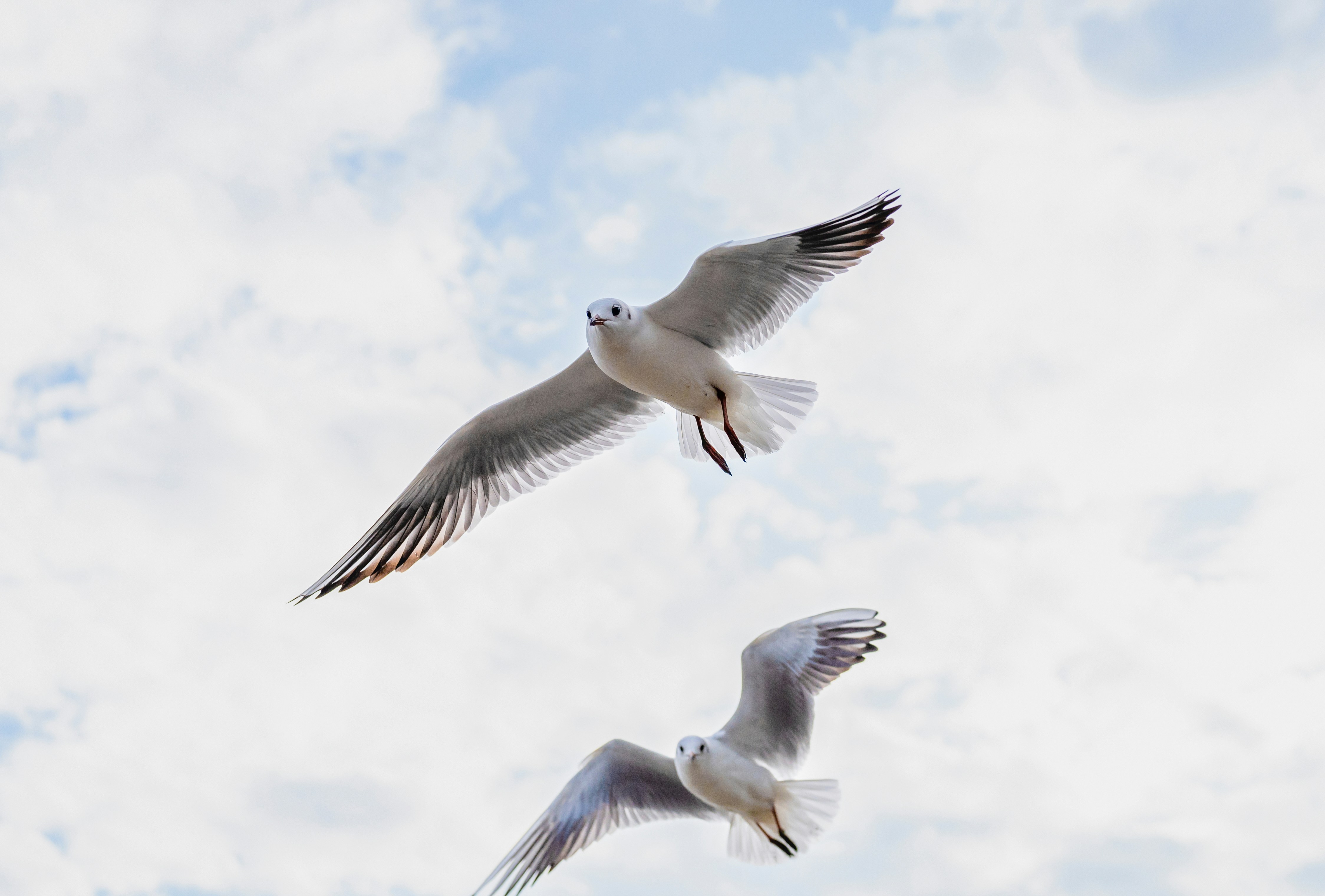 Photo by jasonmomentrecorder