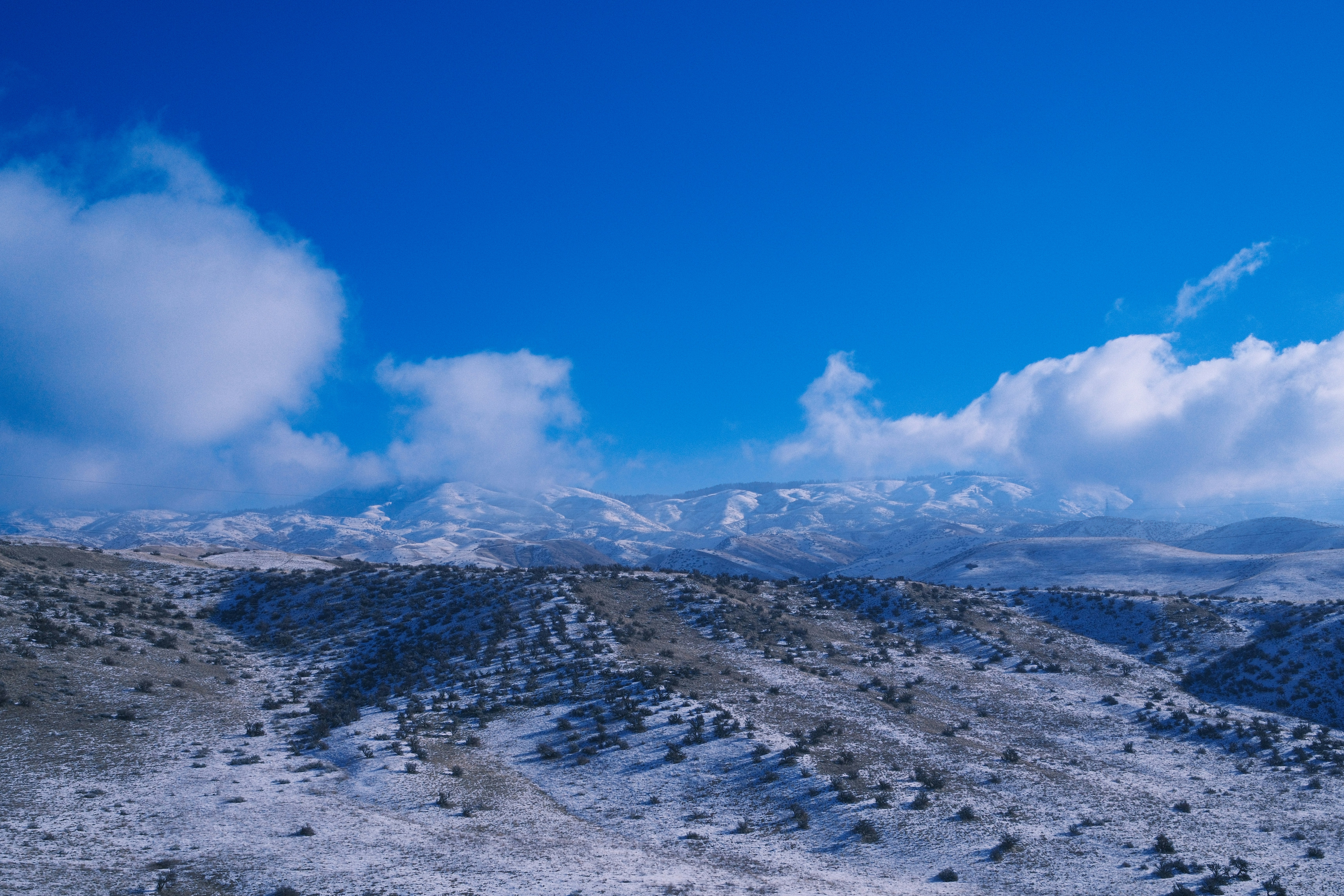 Photo by shawnmclark