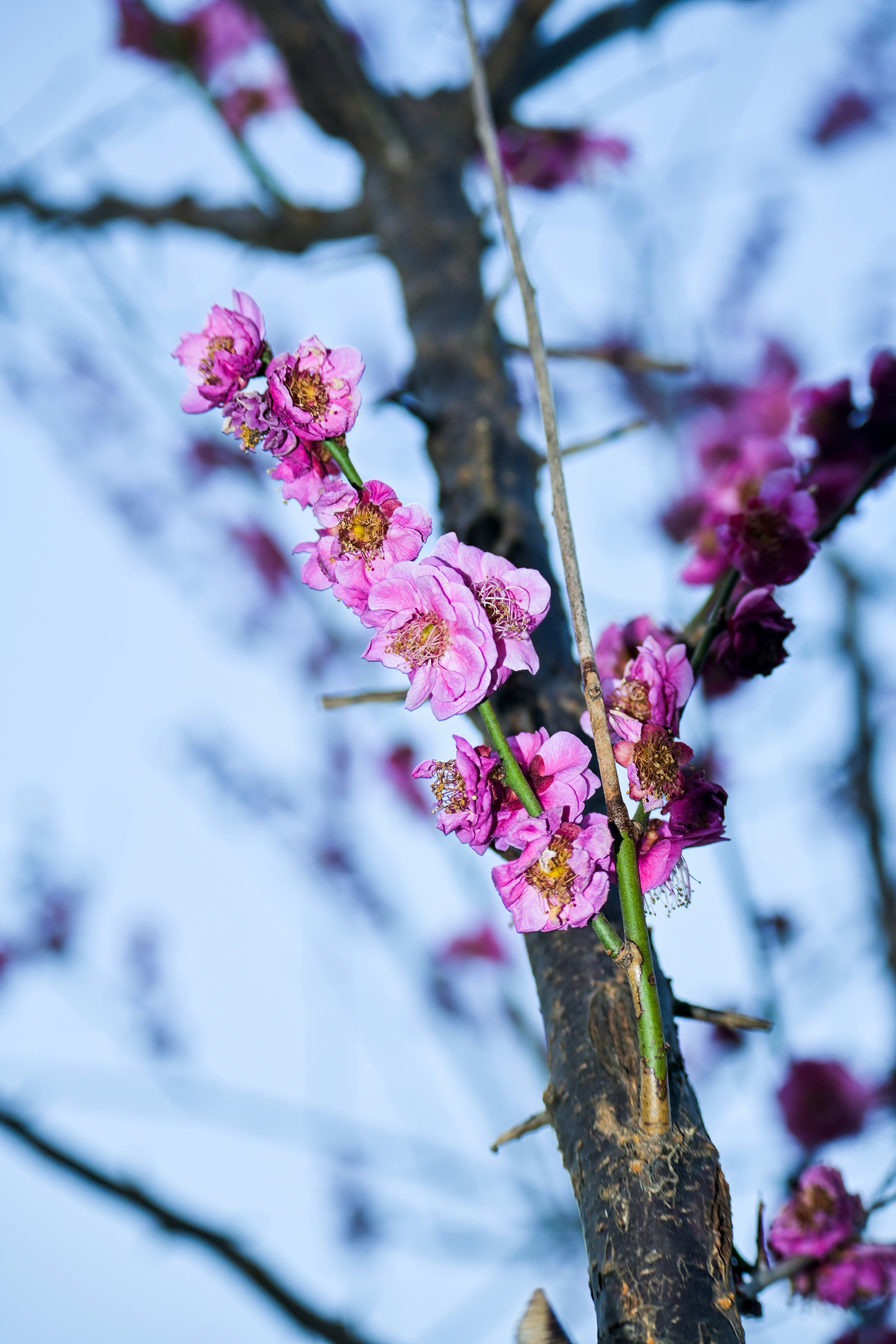 Photo by clck0622