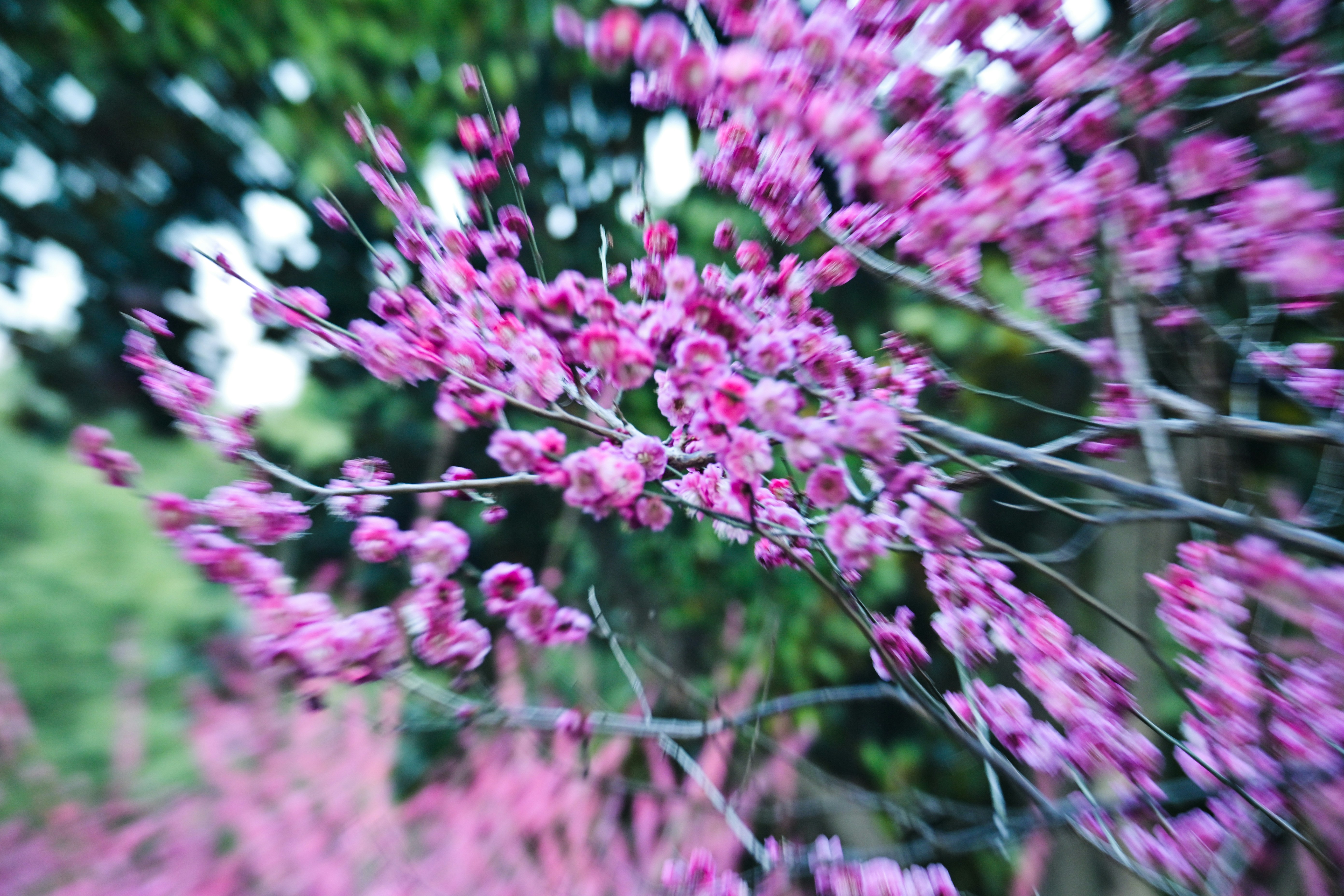 Photo by clck0622