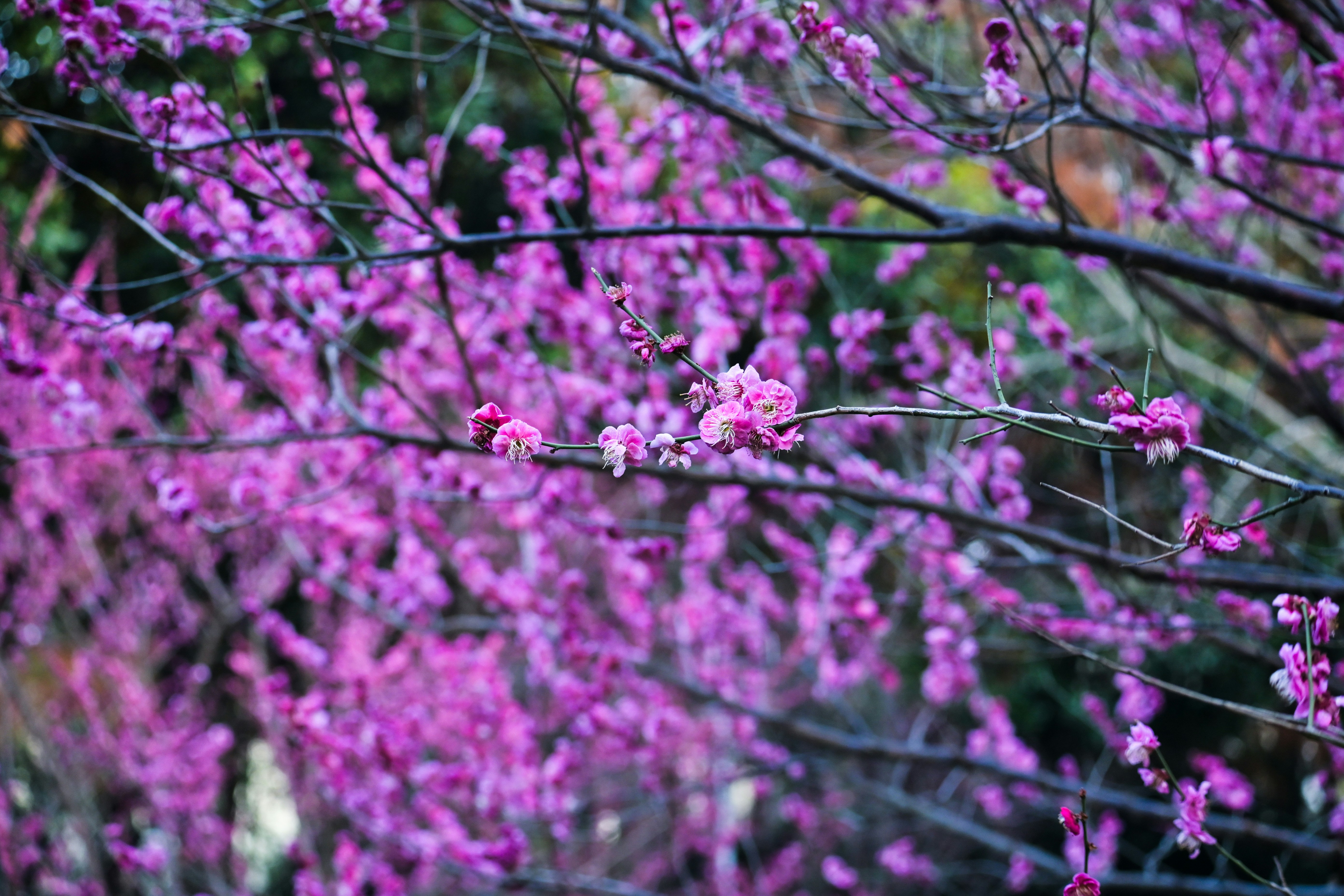 Photo by clck0622