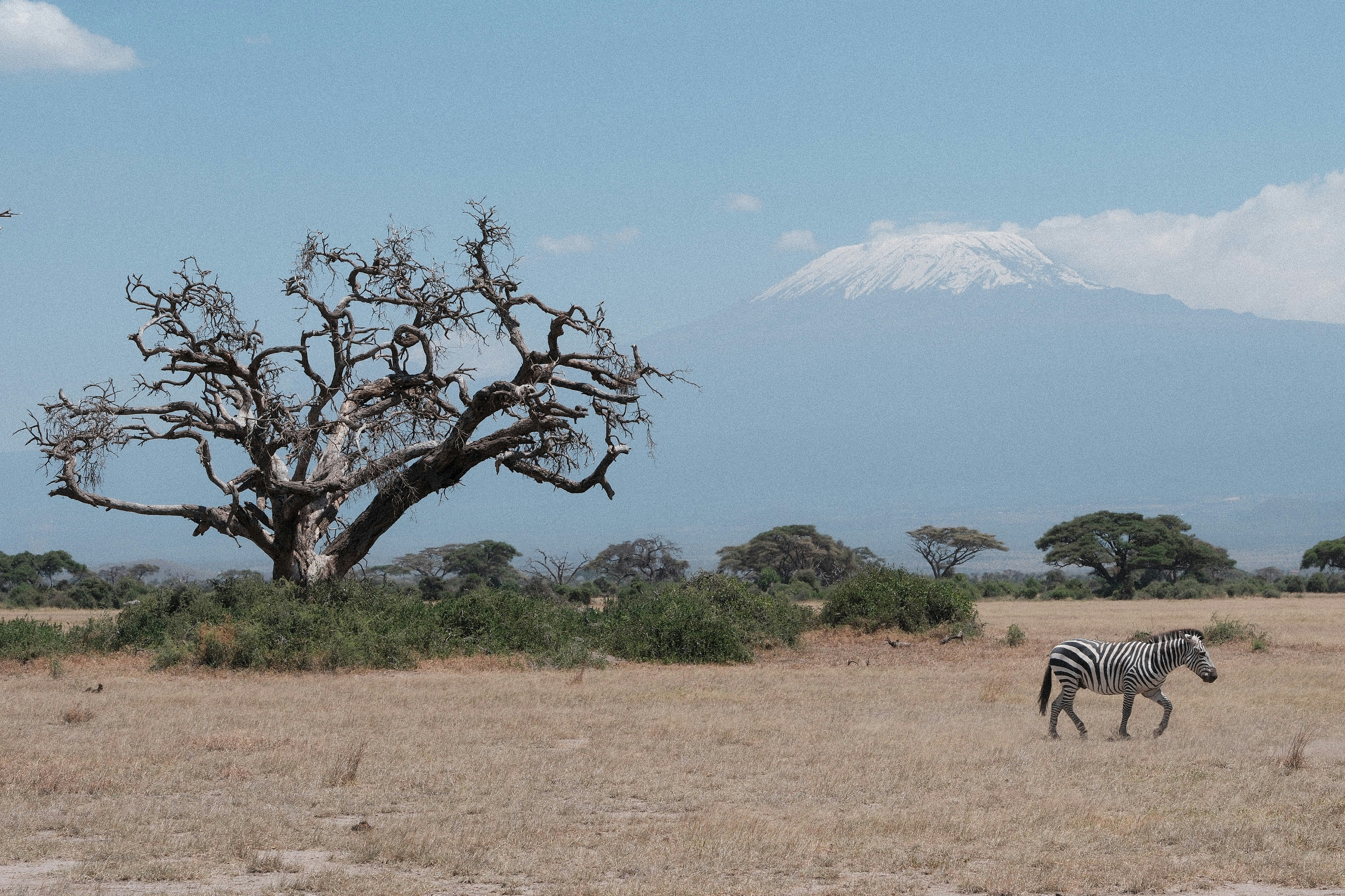 Photo of Amboseli National Park