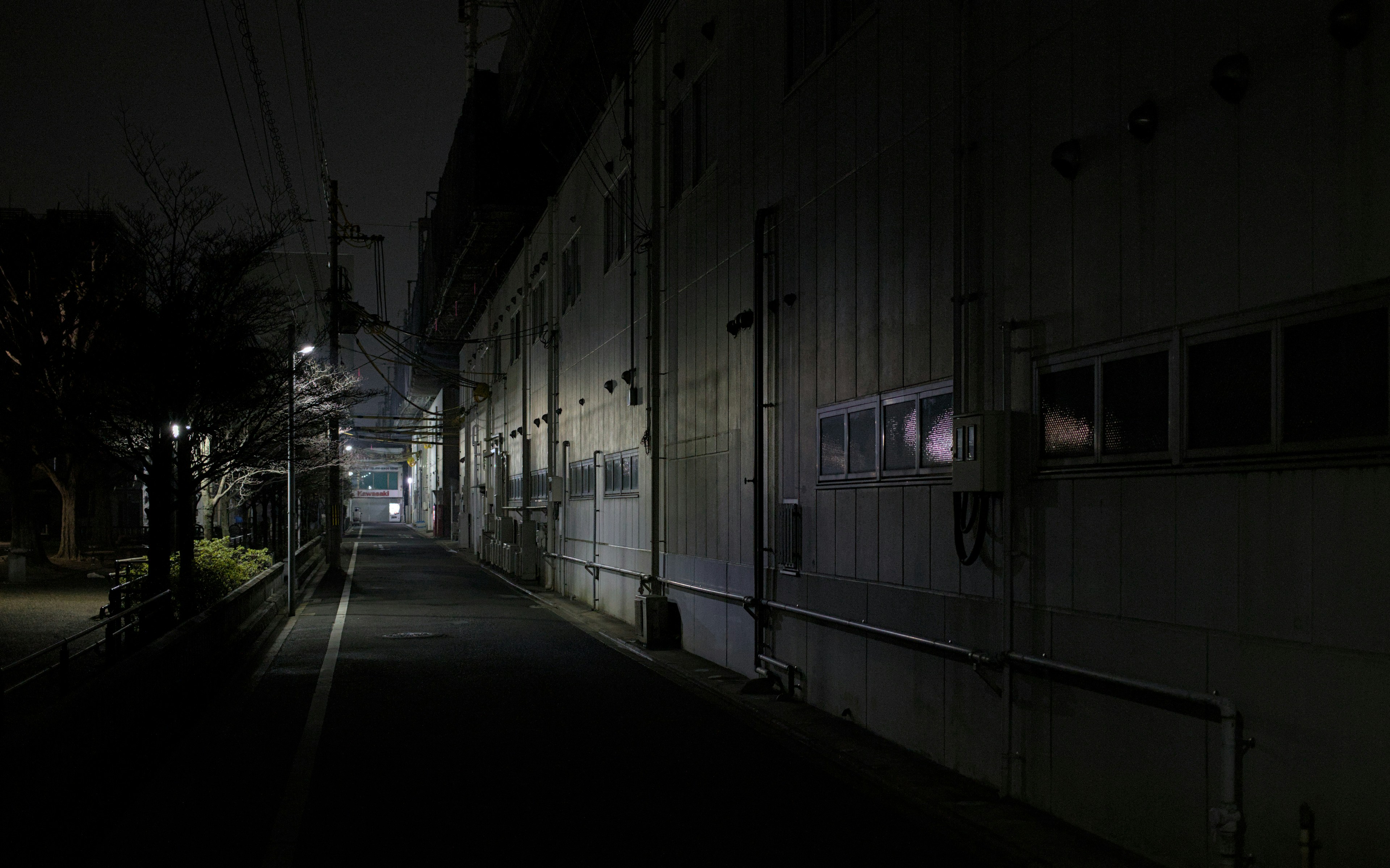 Photo by domsson