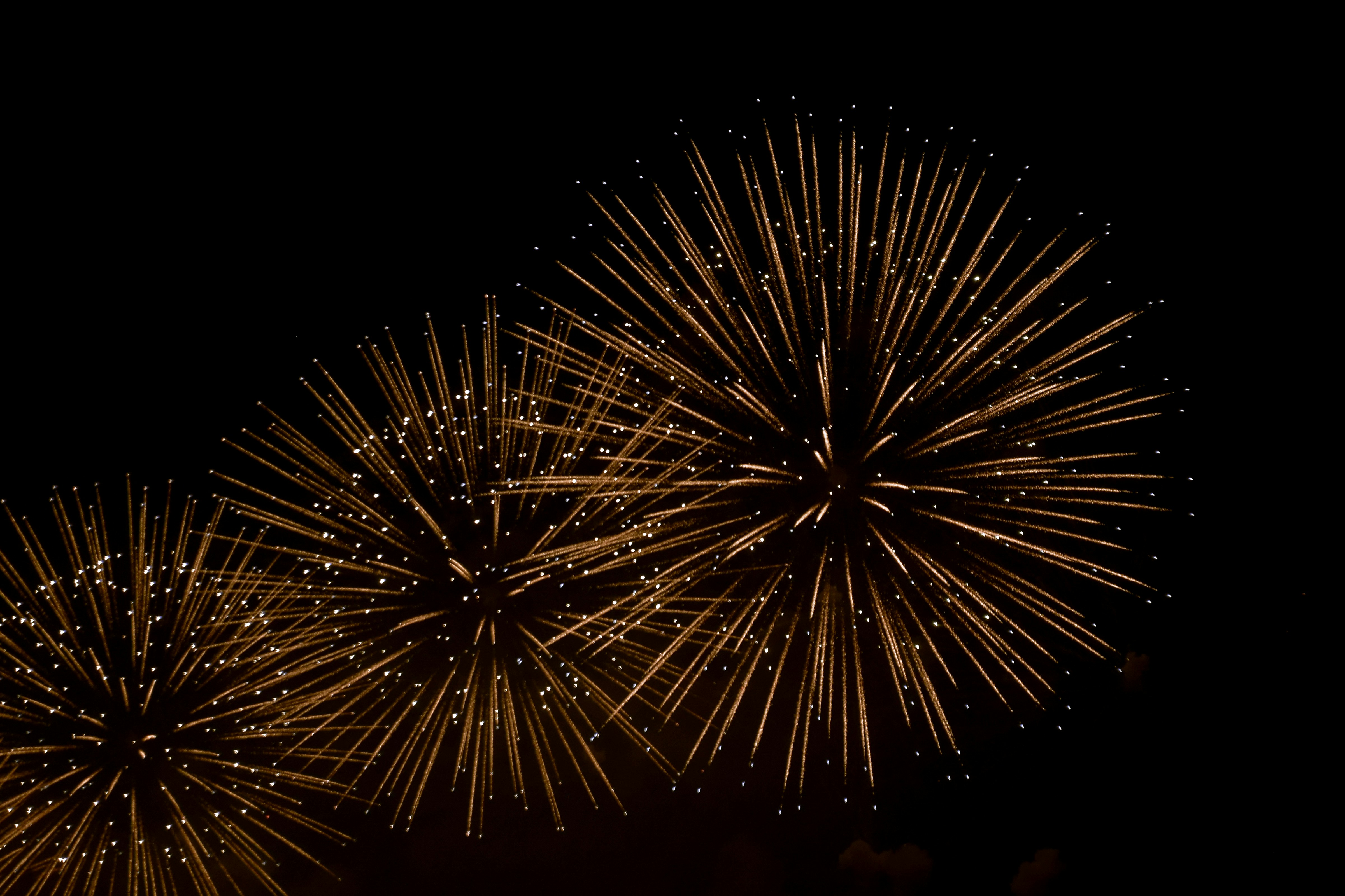 Photo by ellencreativestudio