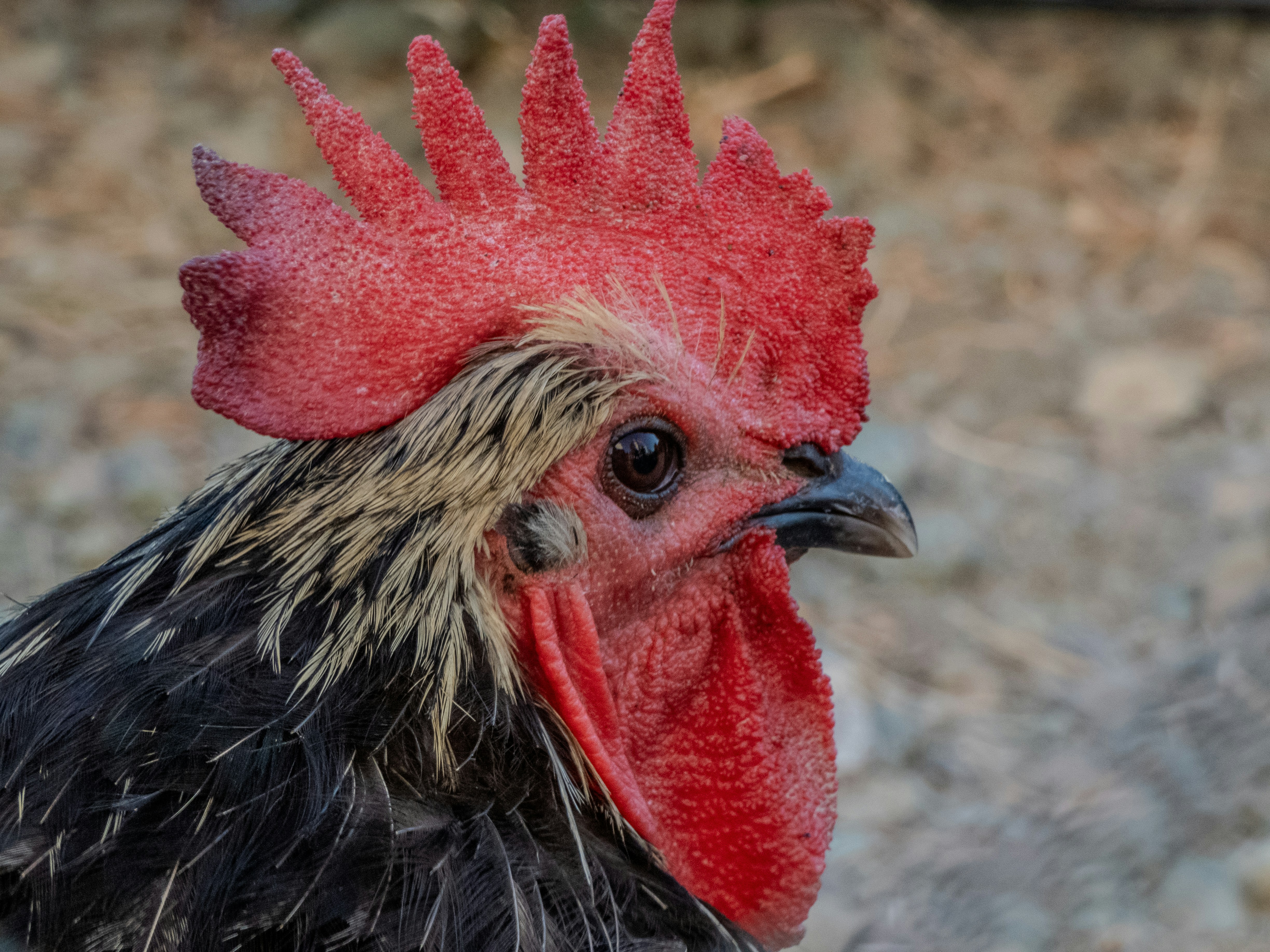 Photo by onderandinc