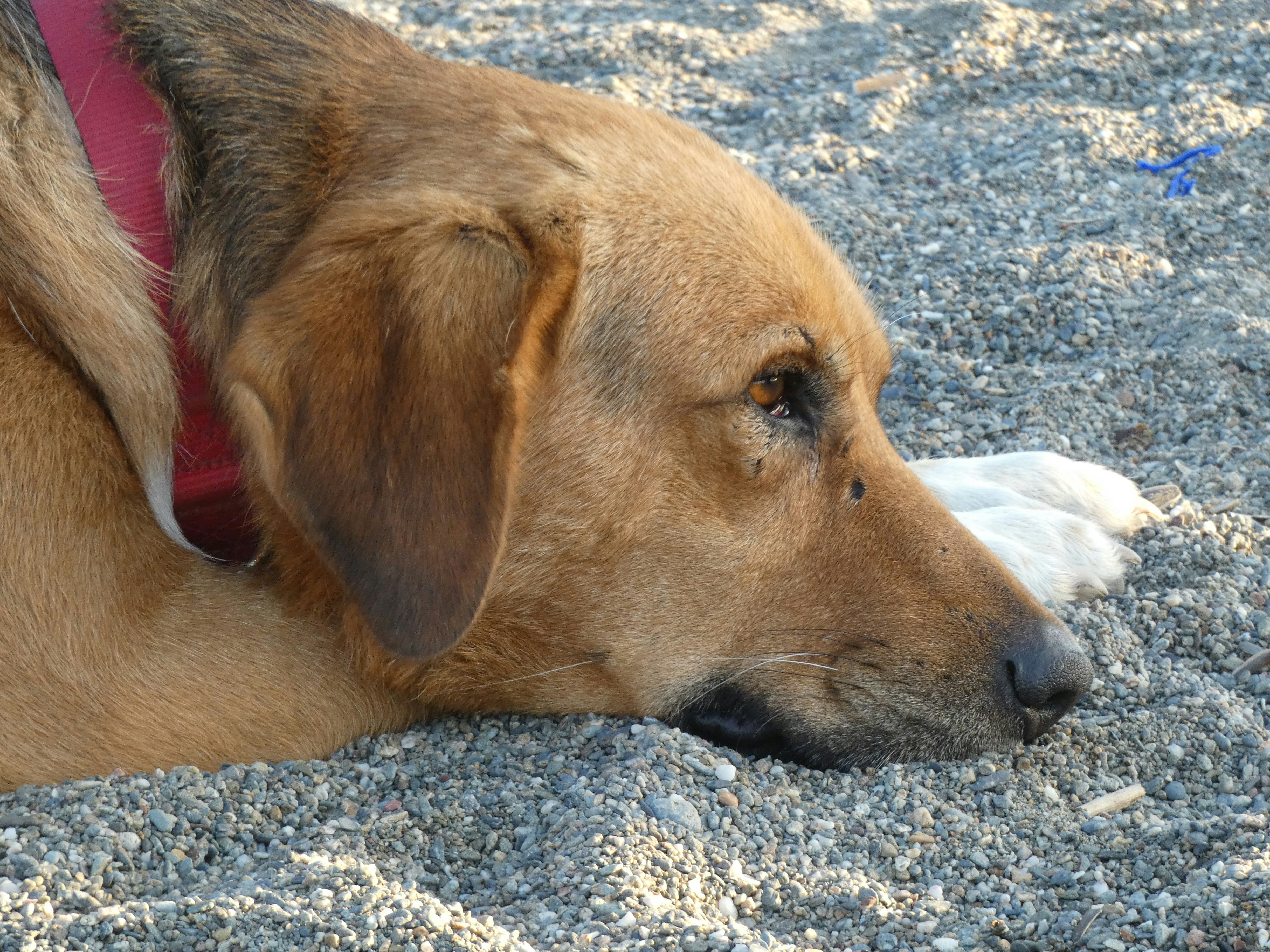 Photo by onderandinc