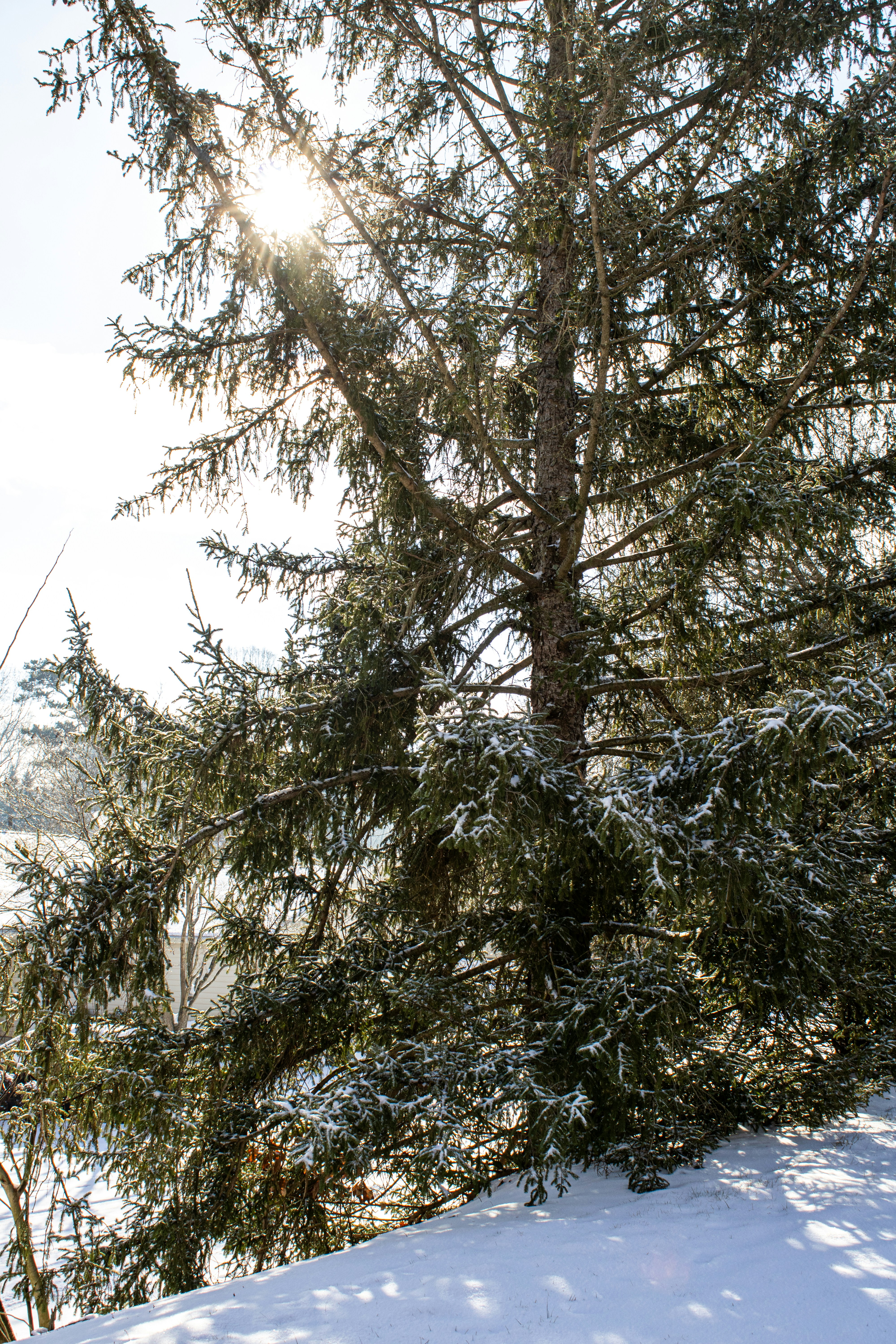 Photo by paigelaineelmer_photos