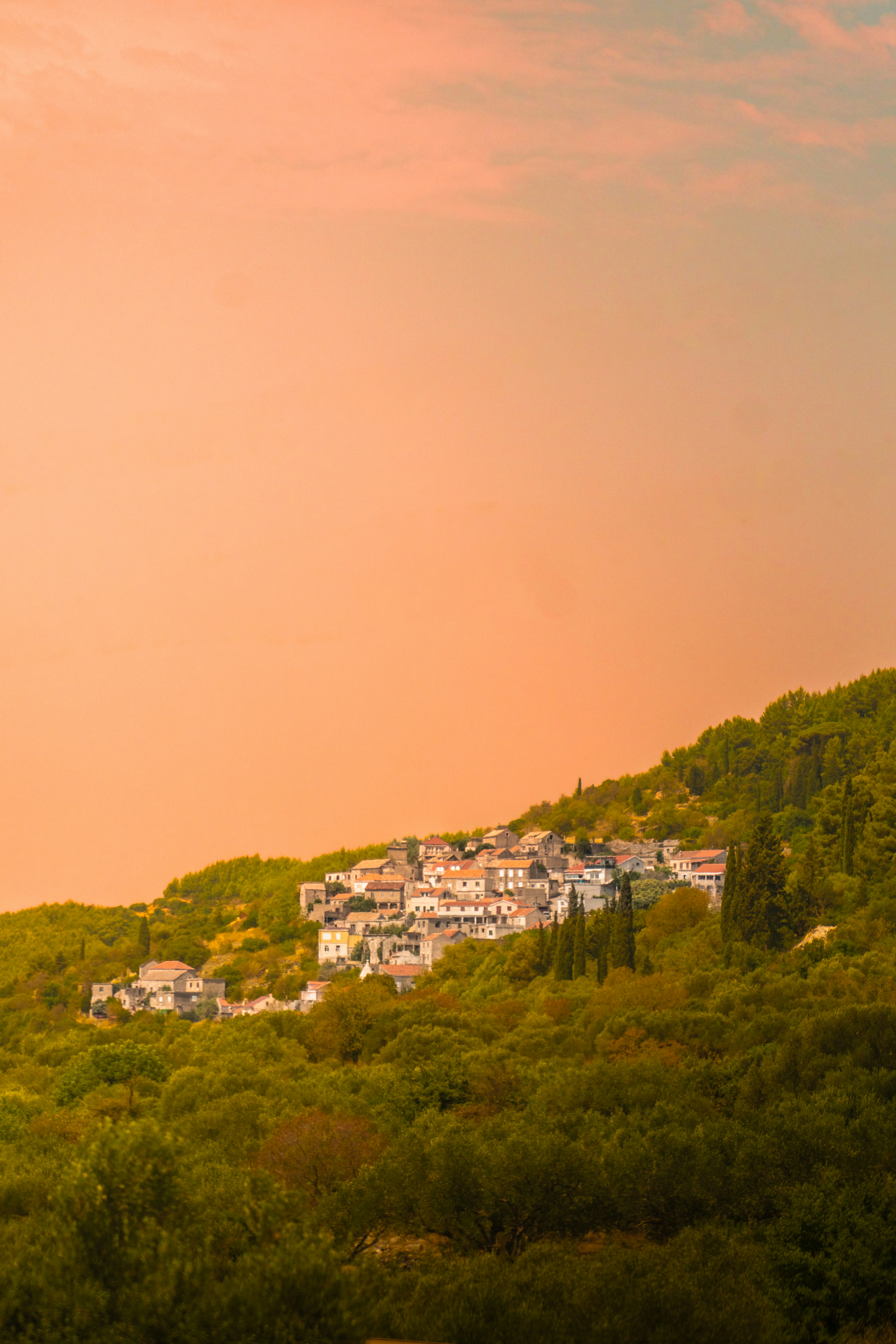 Photo by kamieniavz