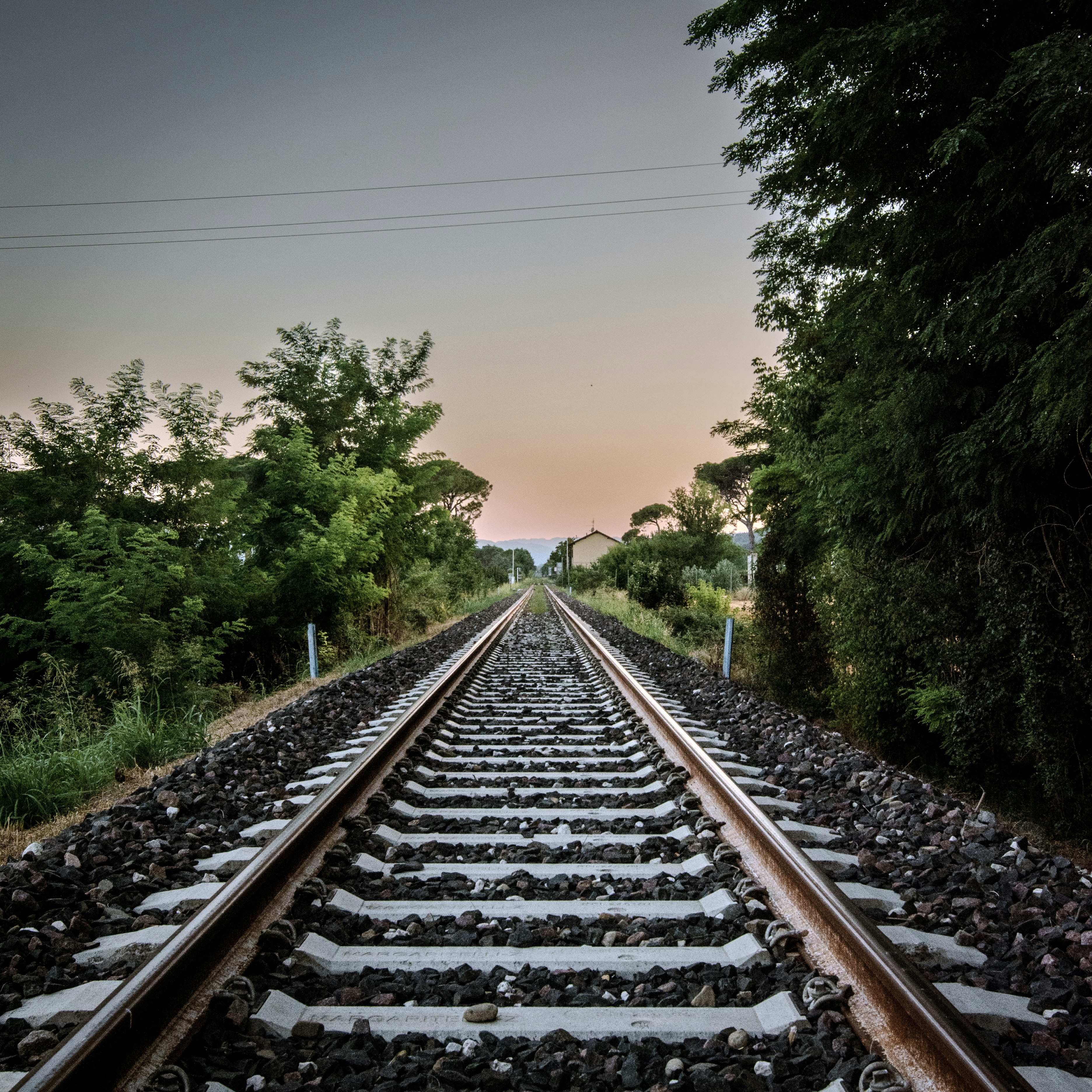 Photo by paolobendandi