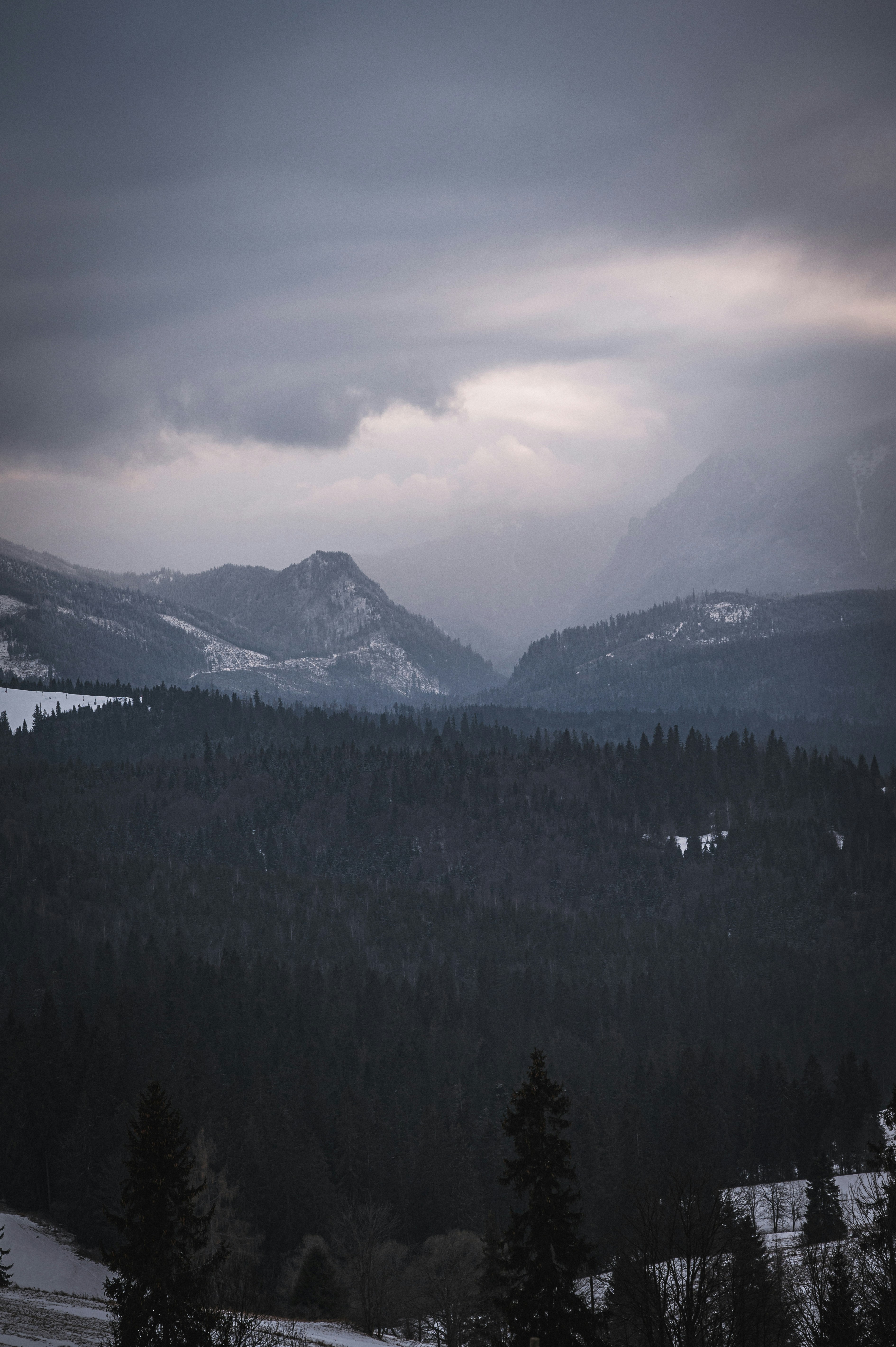 Photo by alexandra_p_d