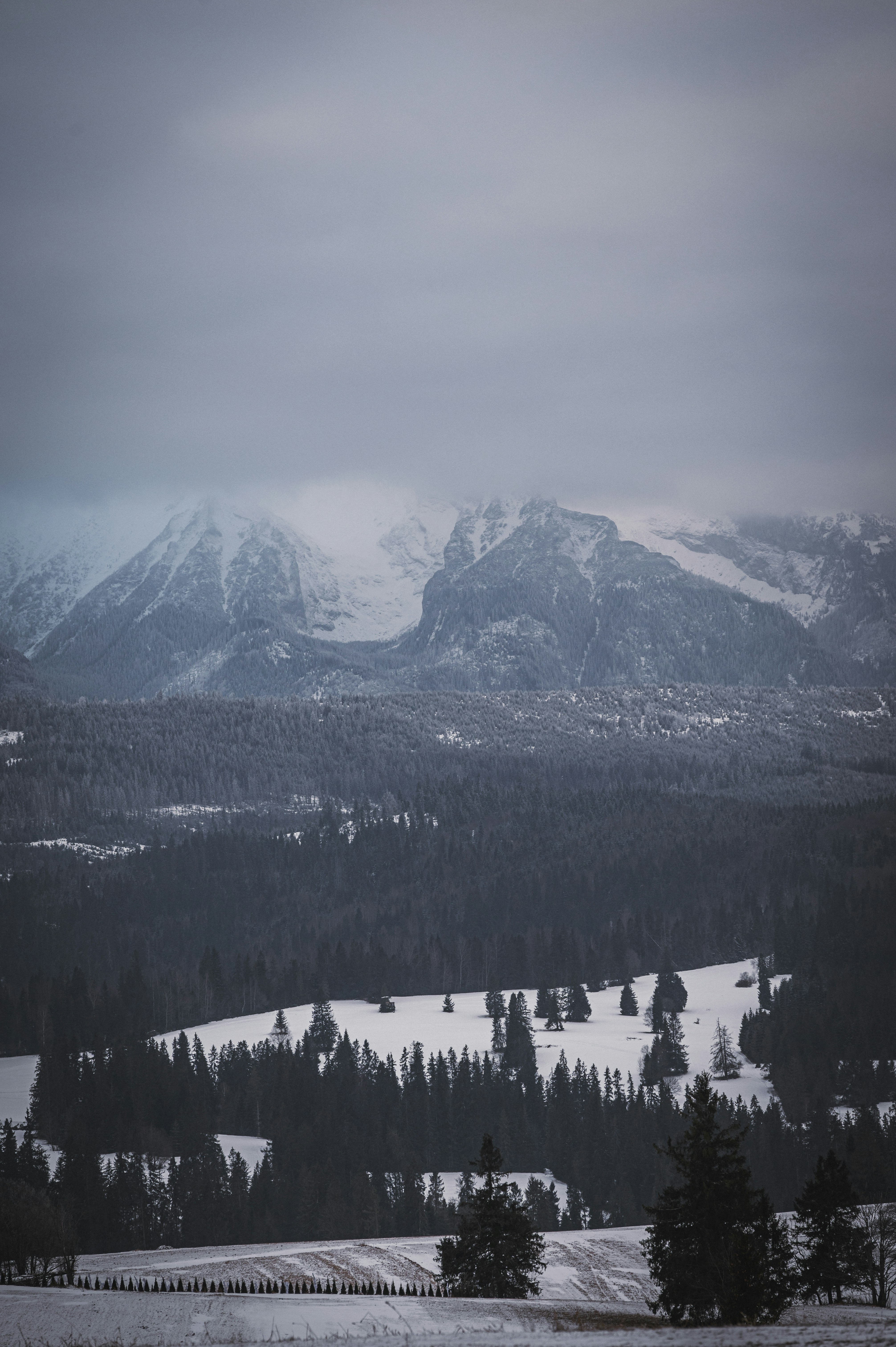 Photo by alexandra_p_d