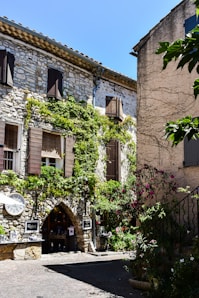 A stone building with vines growing on the side of it