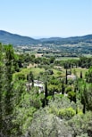 A scenic view of a valley with trees and mountains in the background