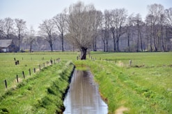 energetische therapie Down2Earth praktijk West-Vlaanderen