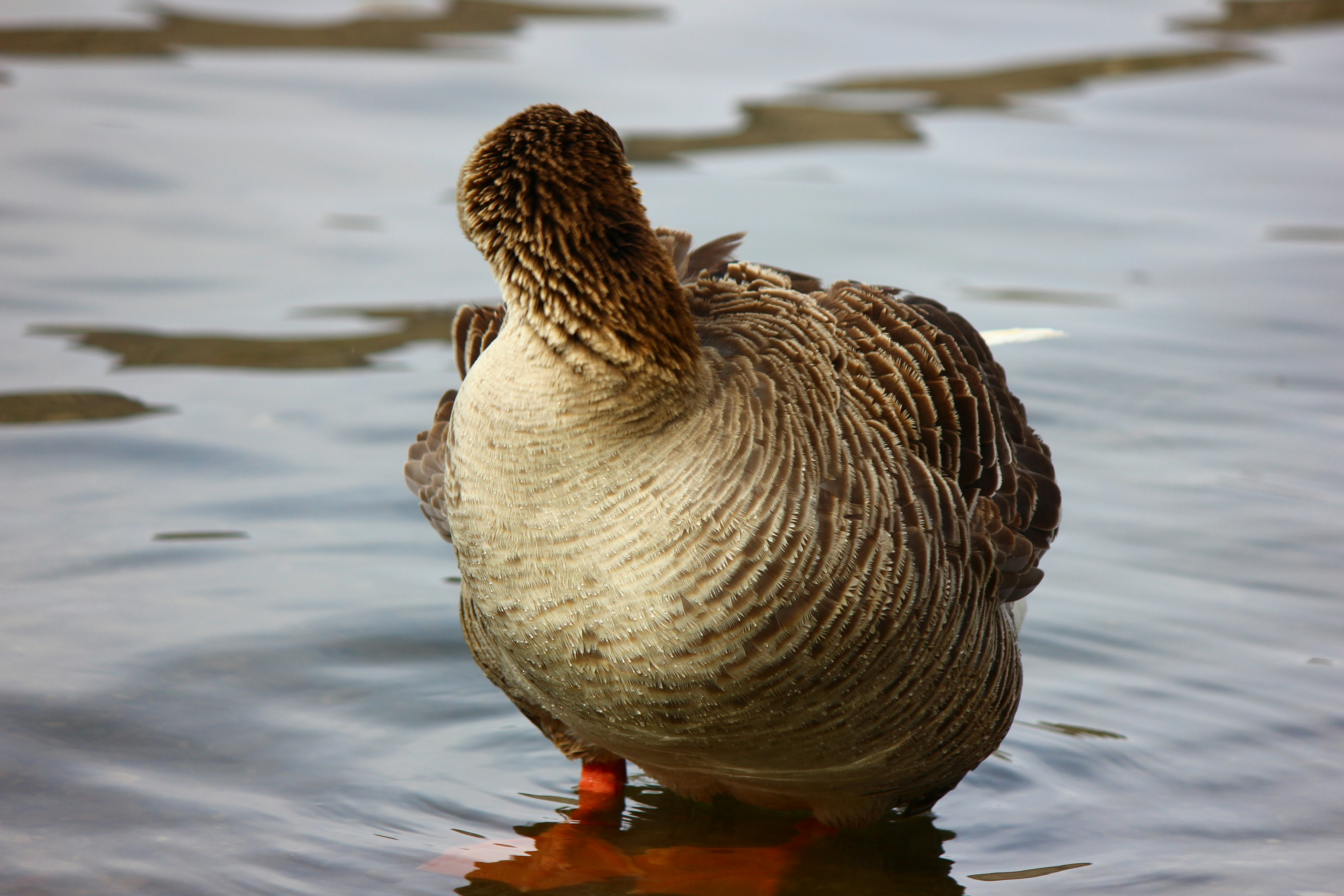 Photo by cengizozarpat