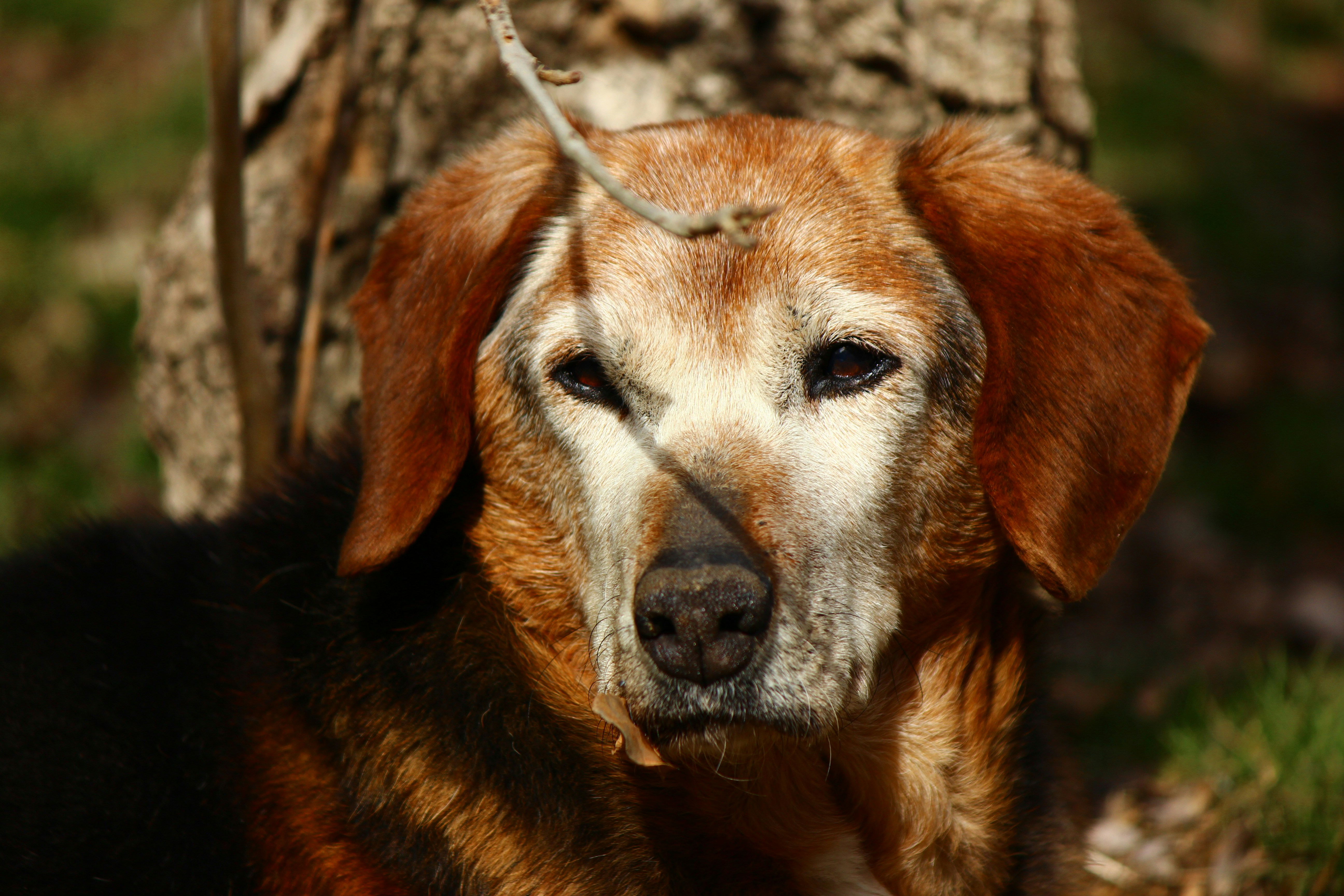 Photo by cengizozarpat