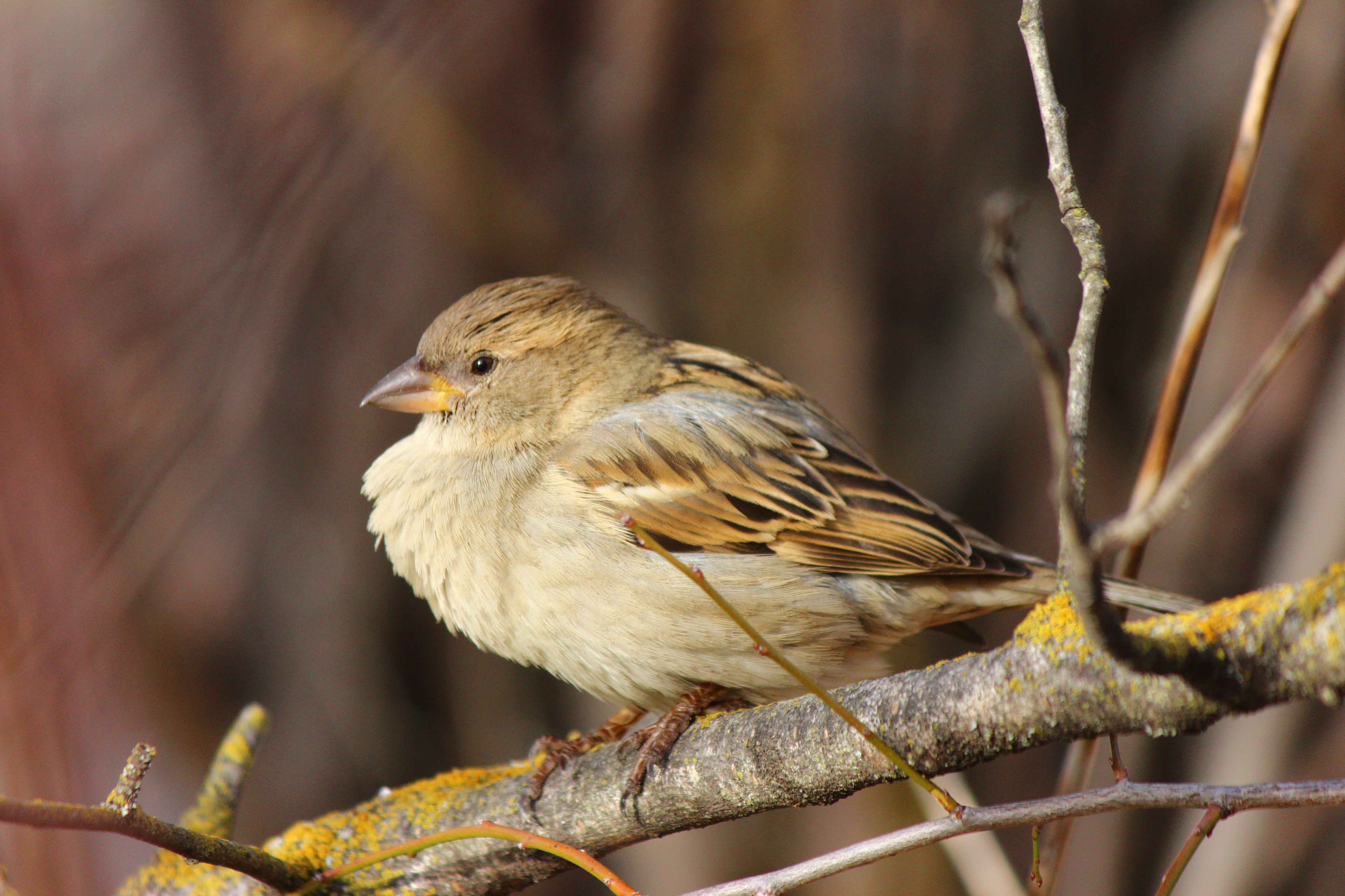 Photo by cengizozarpat