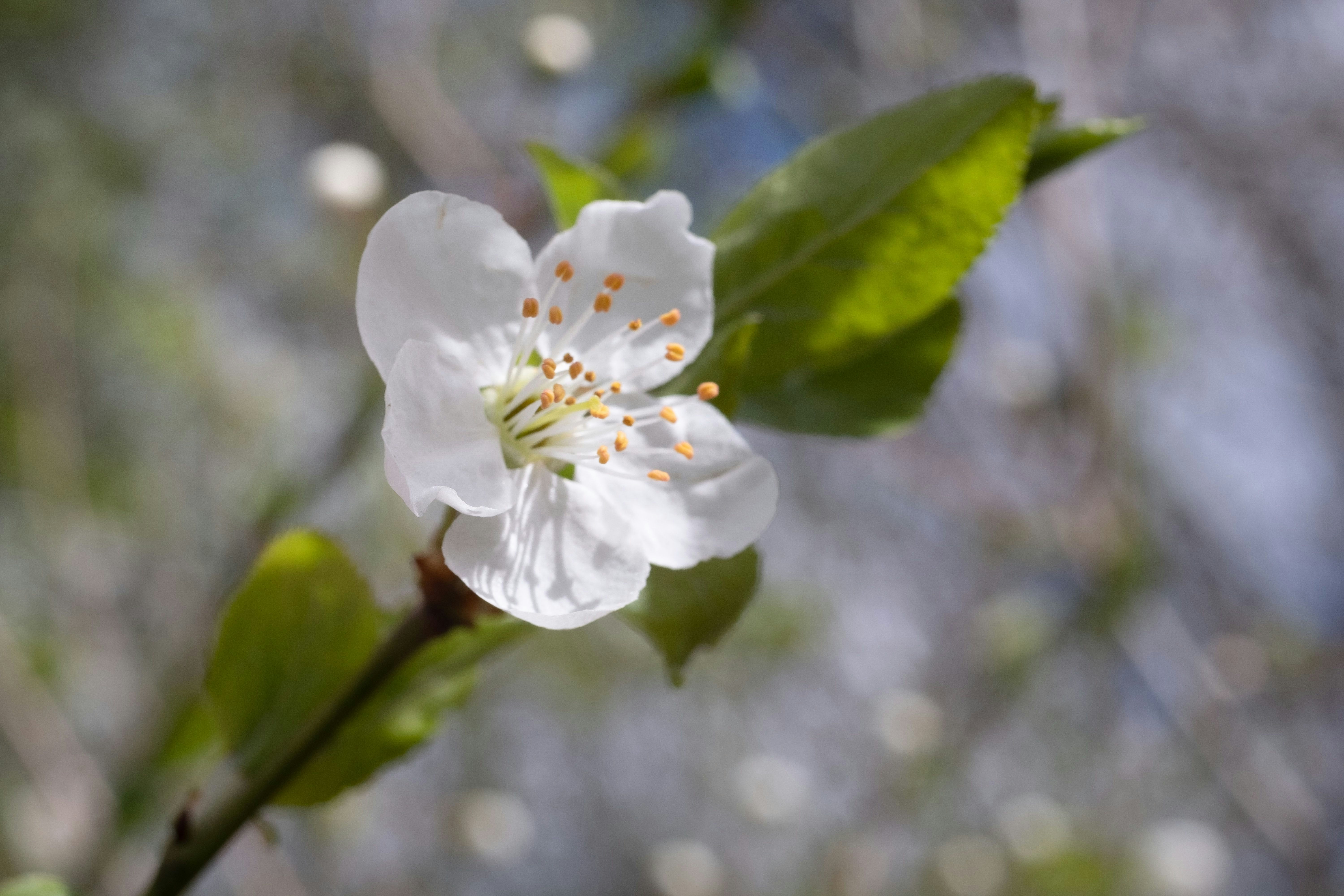 Photo by sevencolors