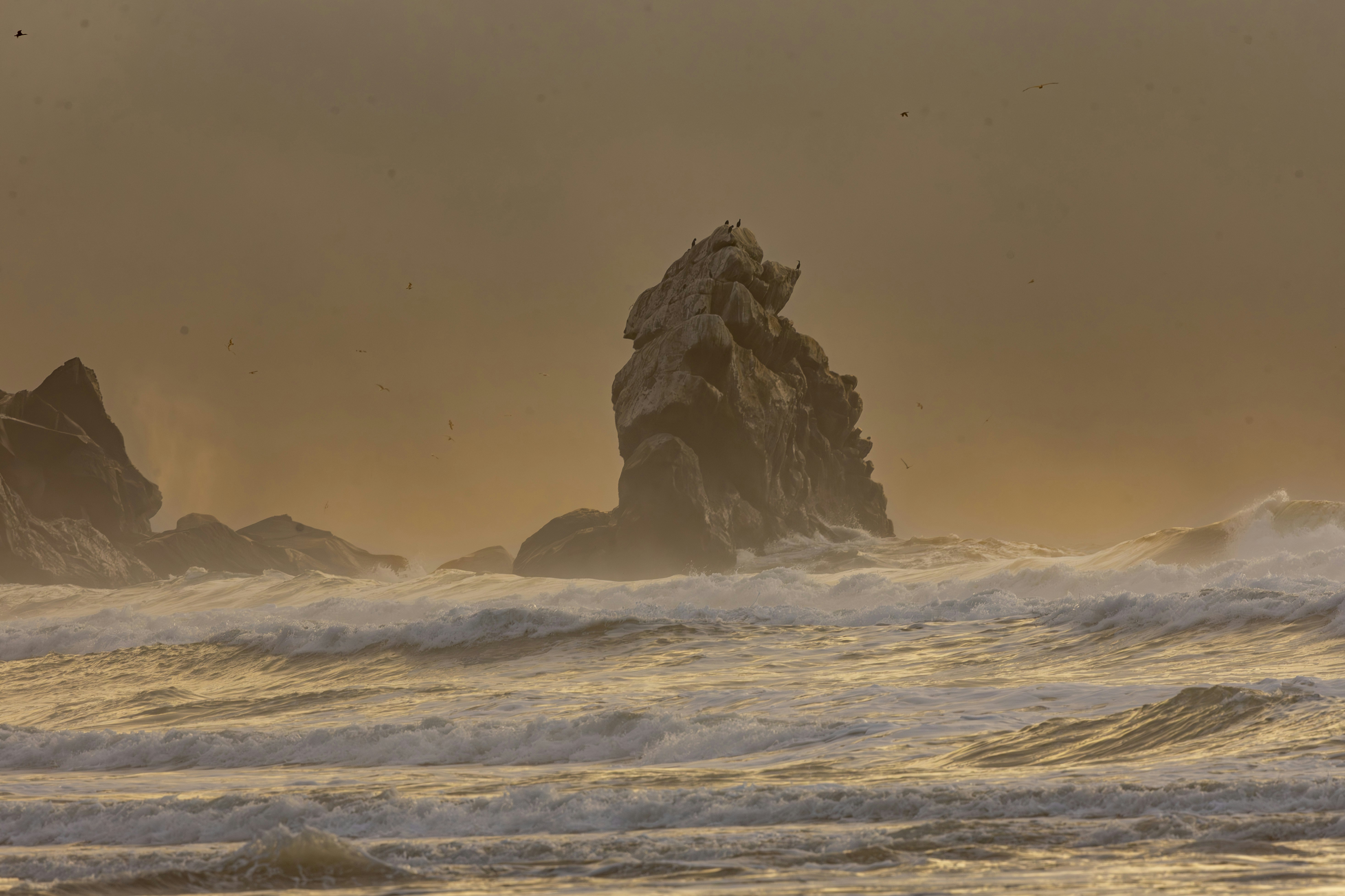 Photo by leo_visions_