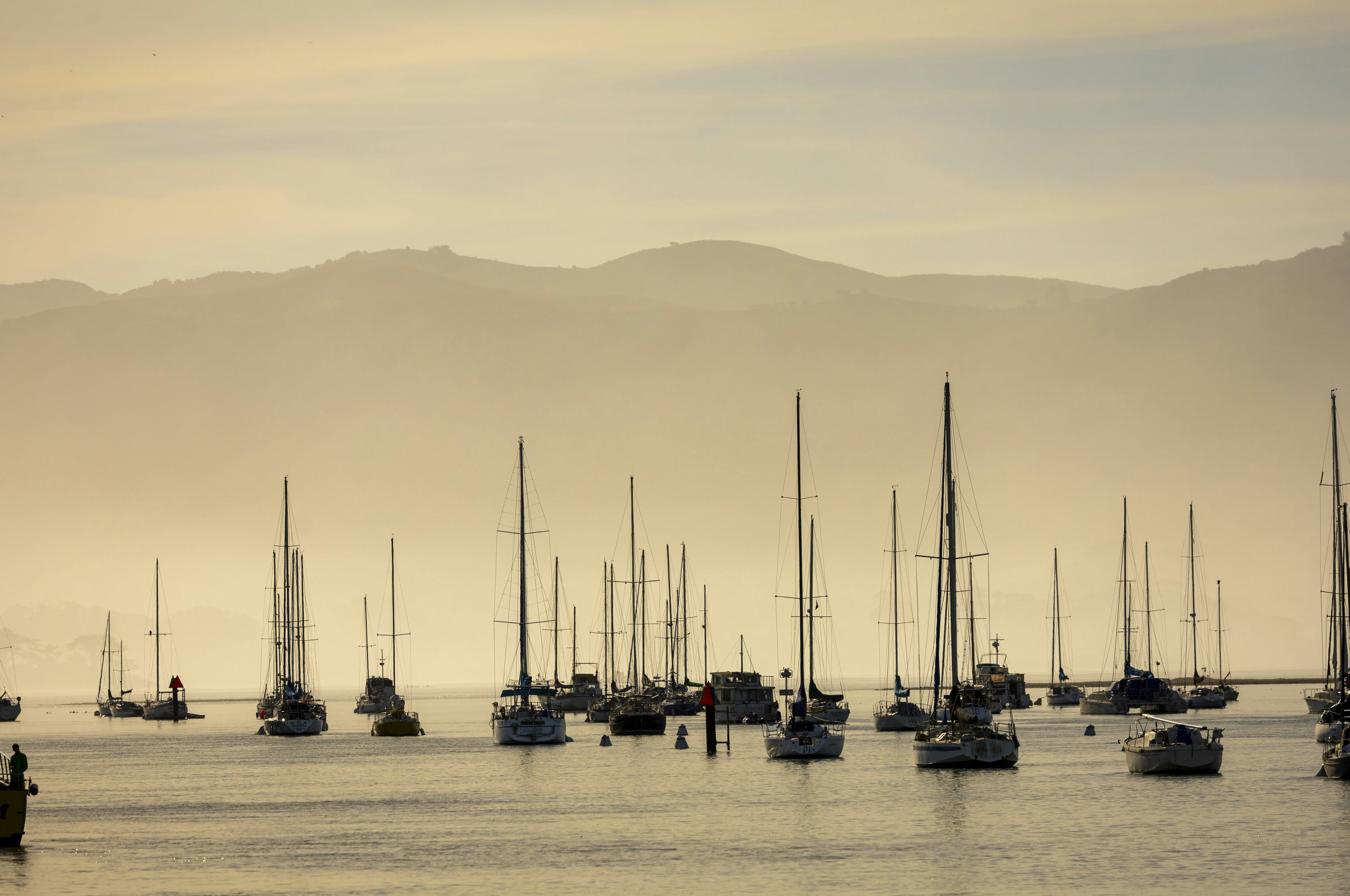 Photo by leo_visions_