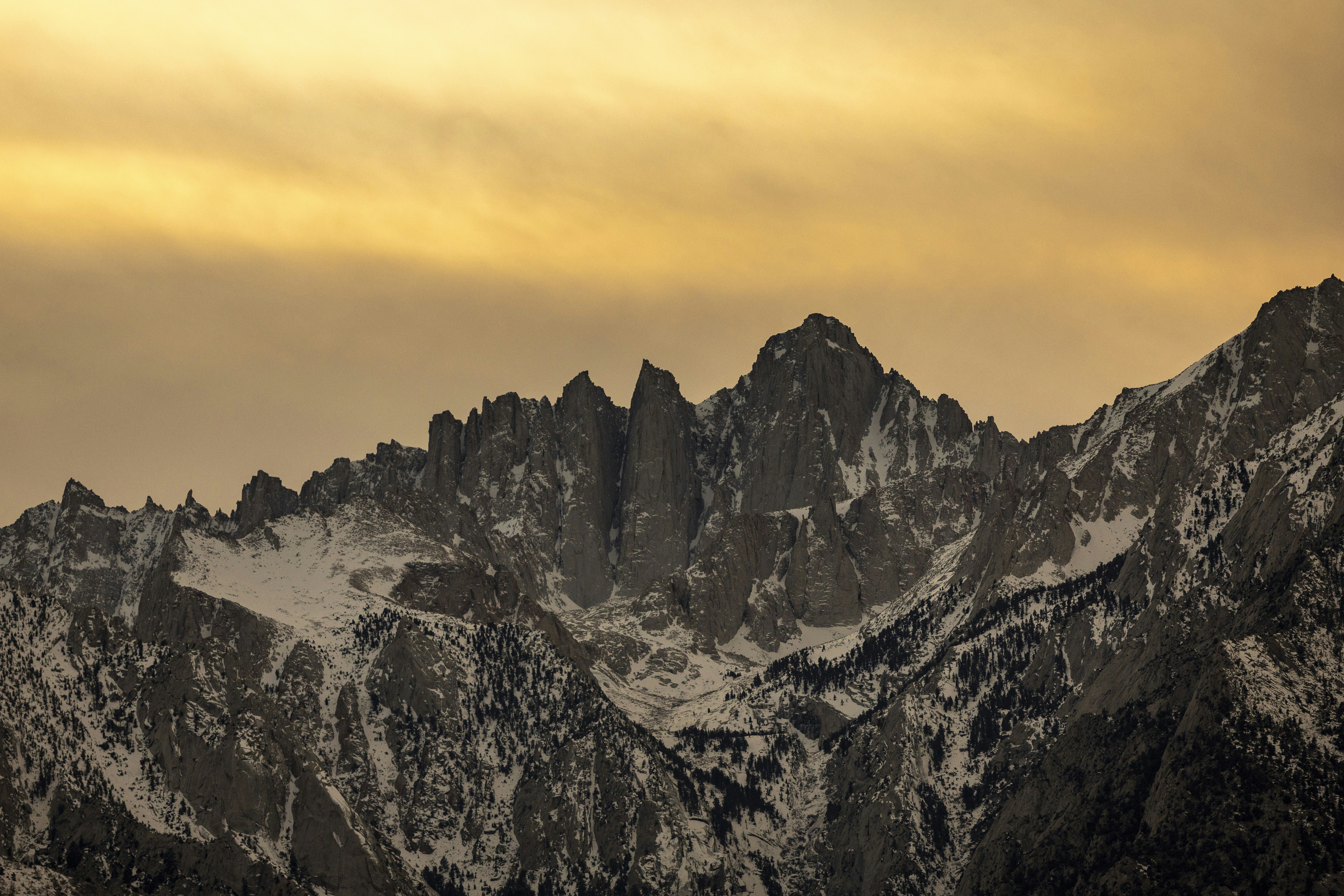 Photo by leo_visions_