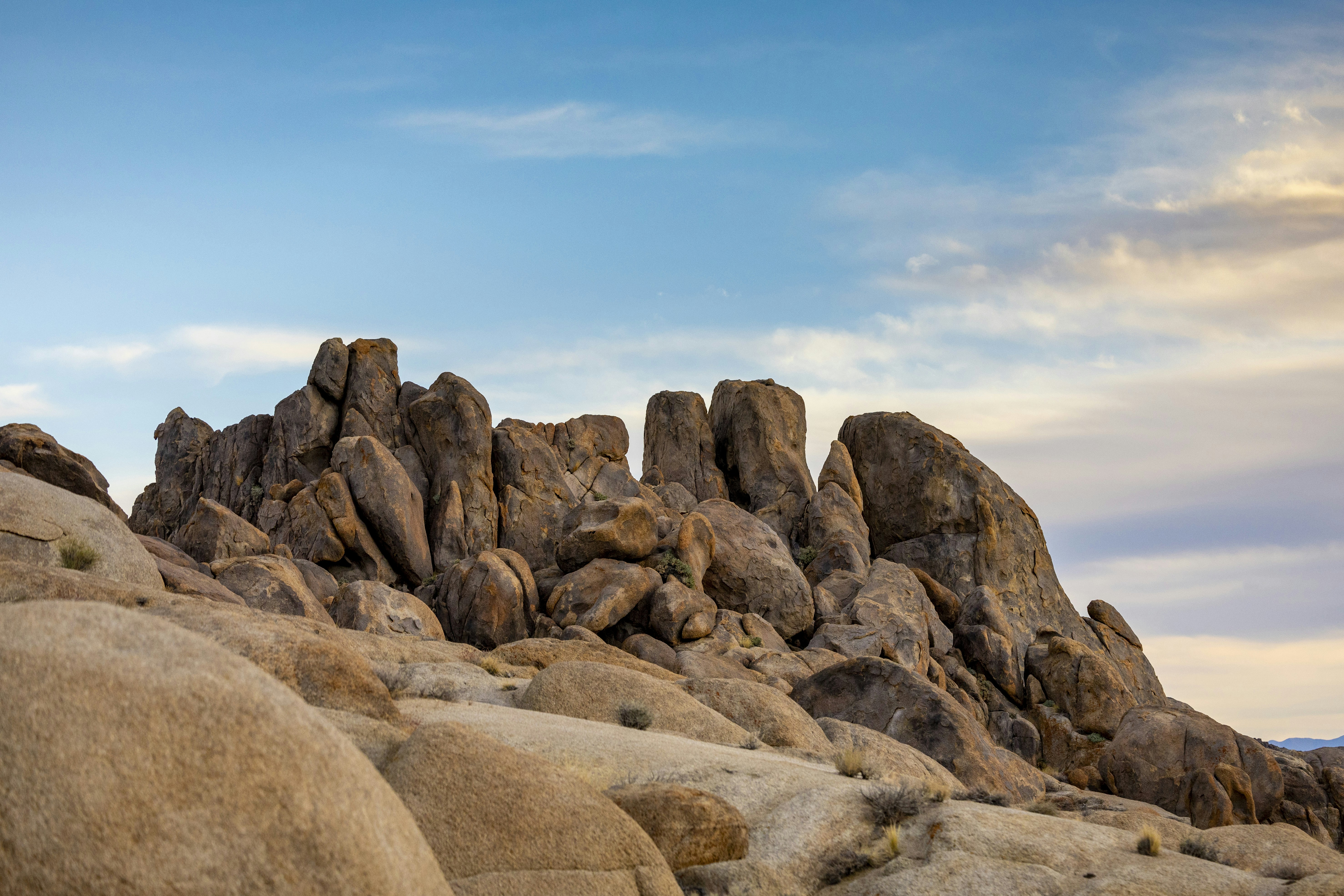 Photo by leo_visions_